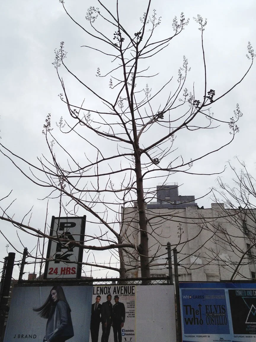 0213_29and10th.jpg