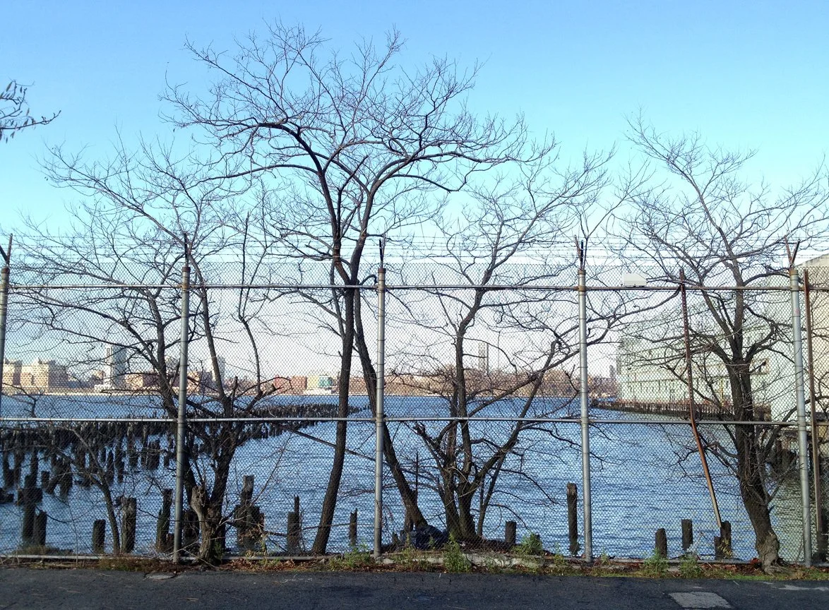 1212_west_side2.jpg