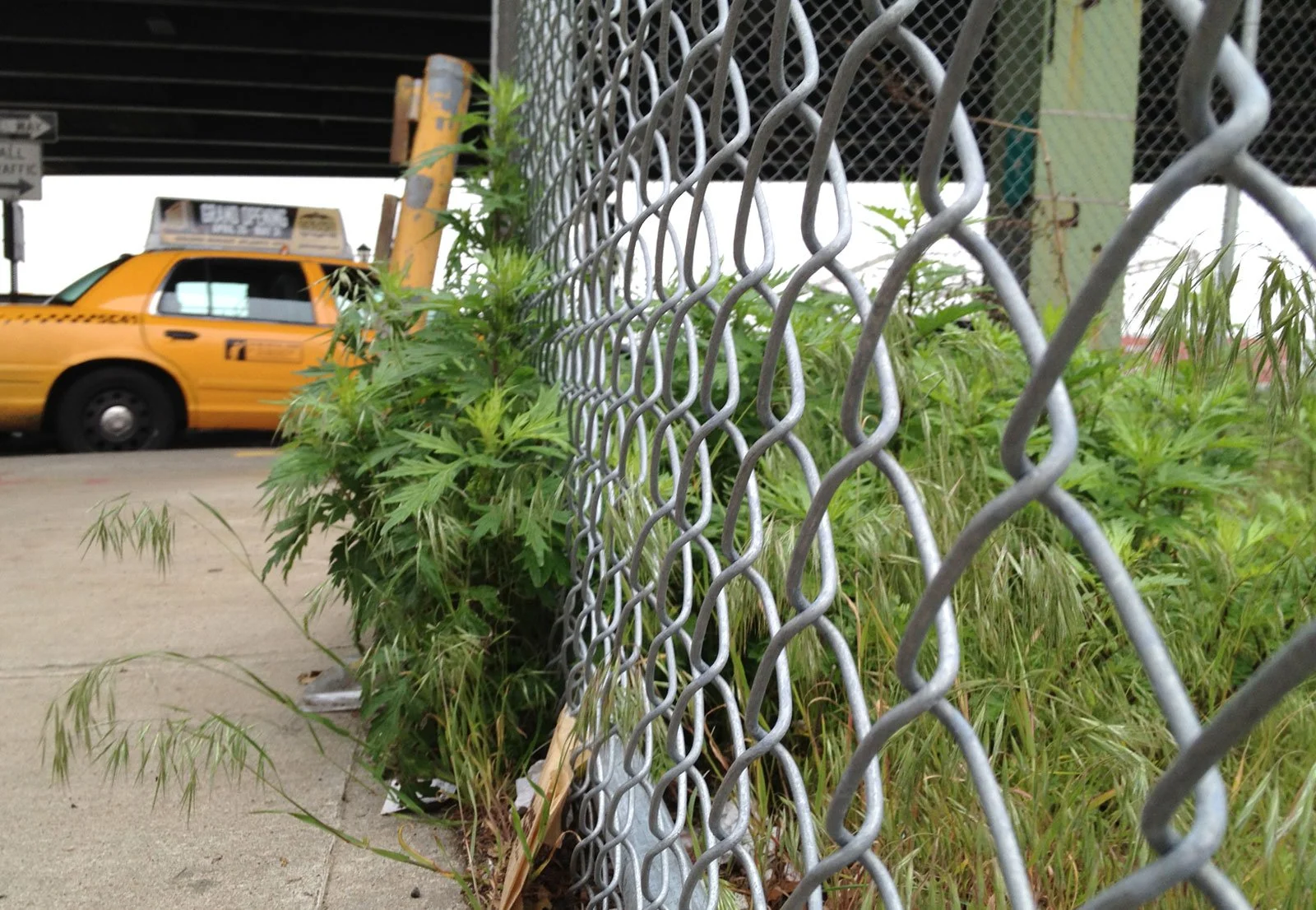 2012_fdr_36th.jpg