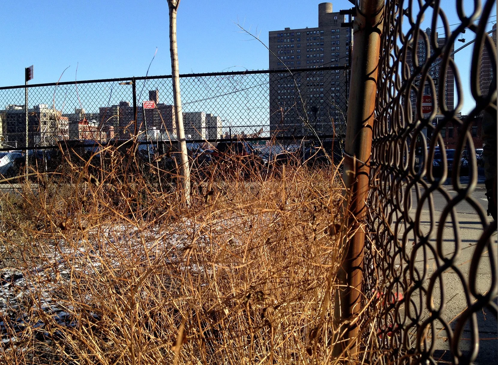 Delancy1213_01.jpg