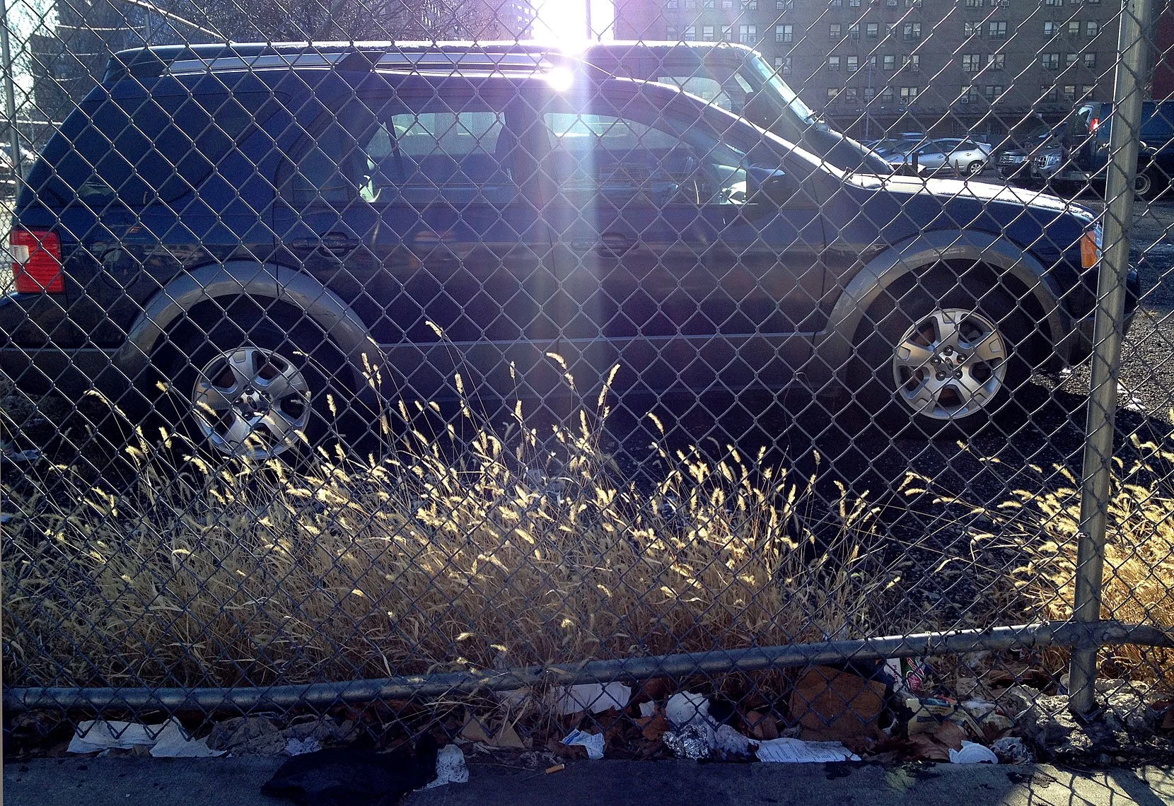 Delancy1213_02.jpg