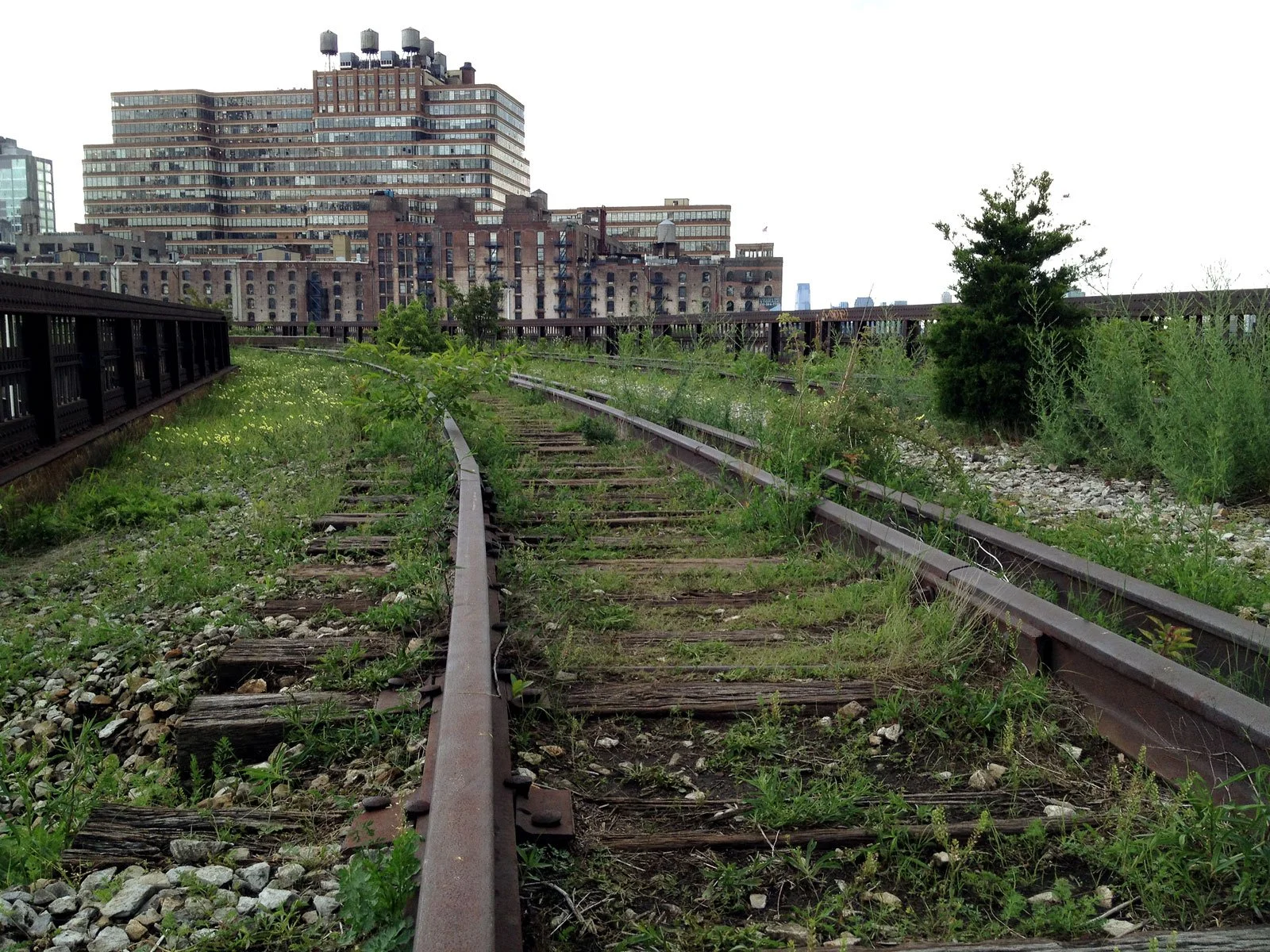 HiLine0613_01web.jpg