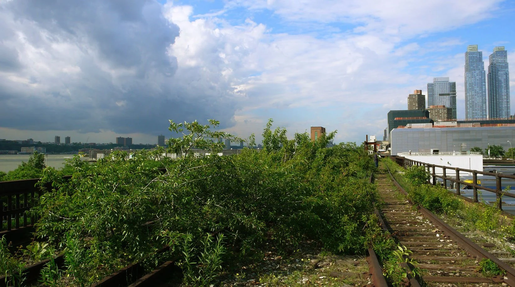 HiLine0613_02web3.jpg