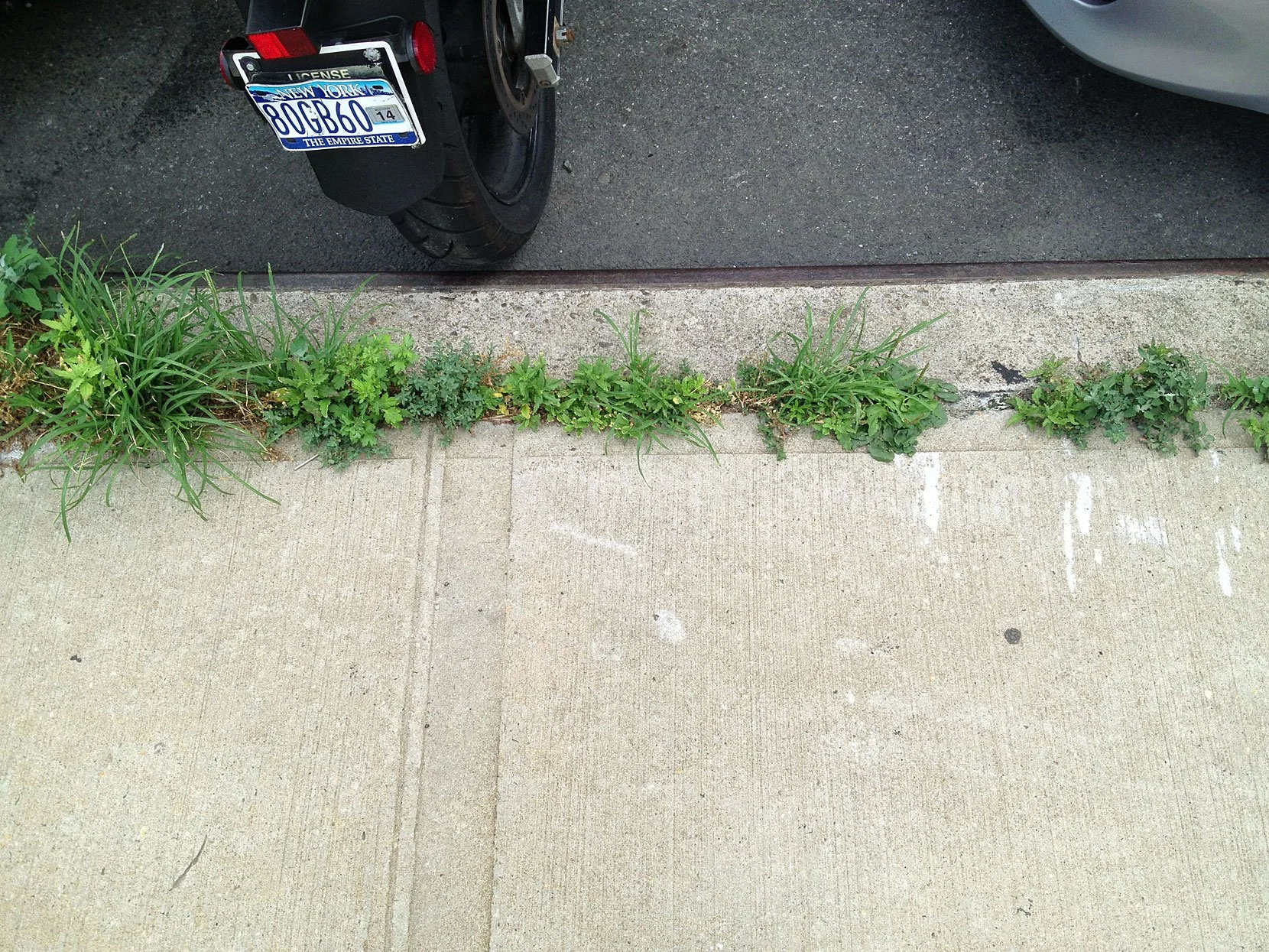 UNstreet0713_03.jpg