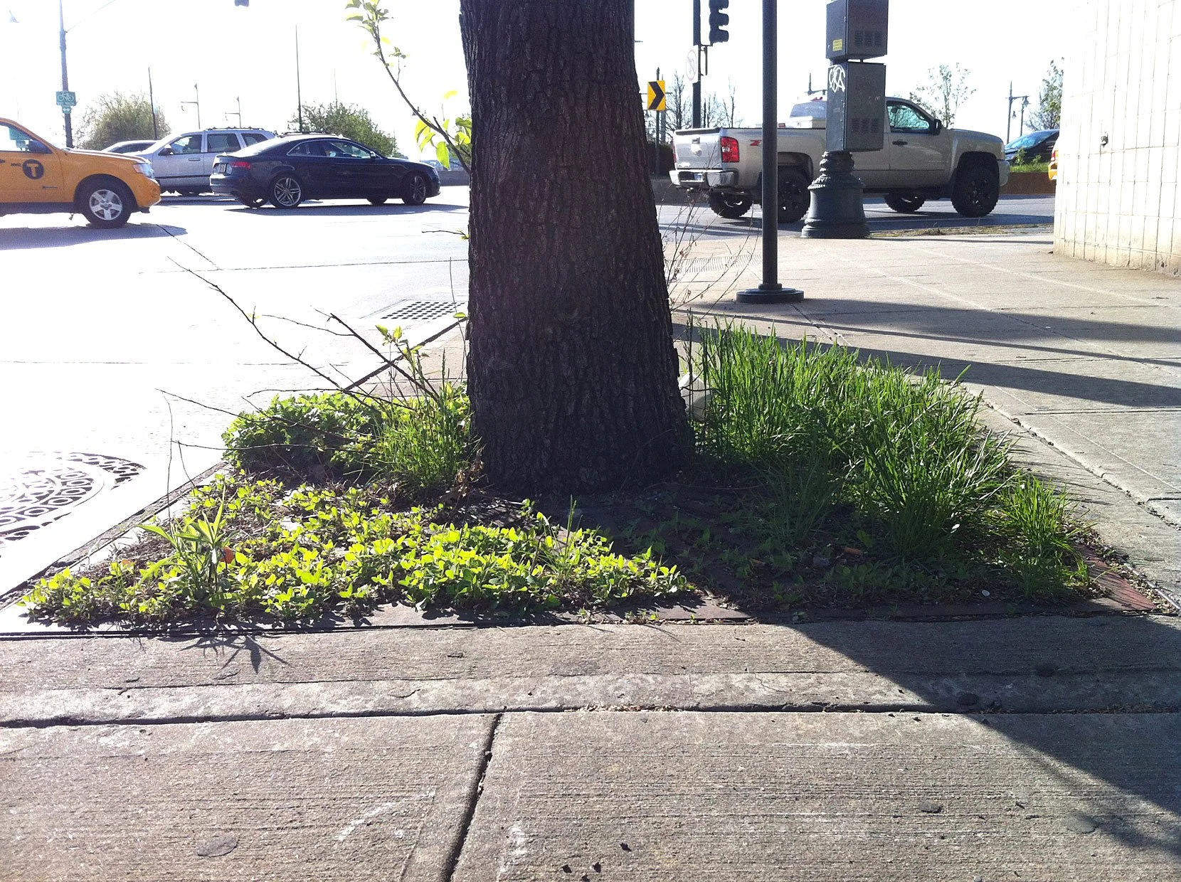 w24th0513_01.jpg