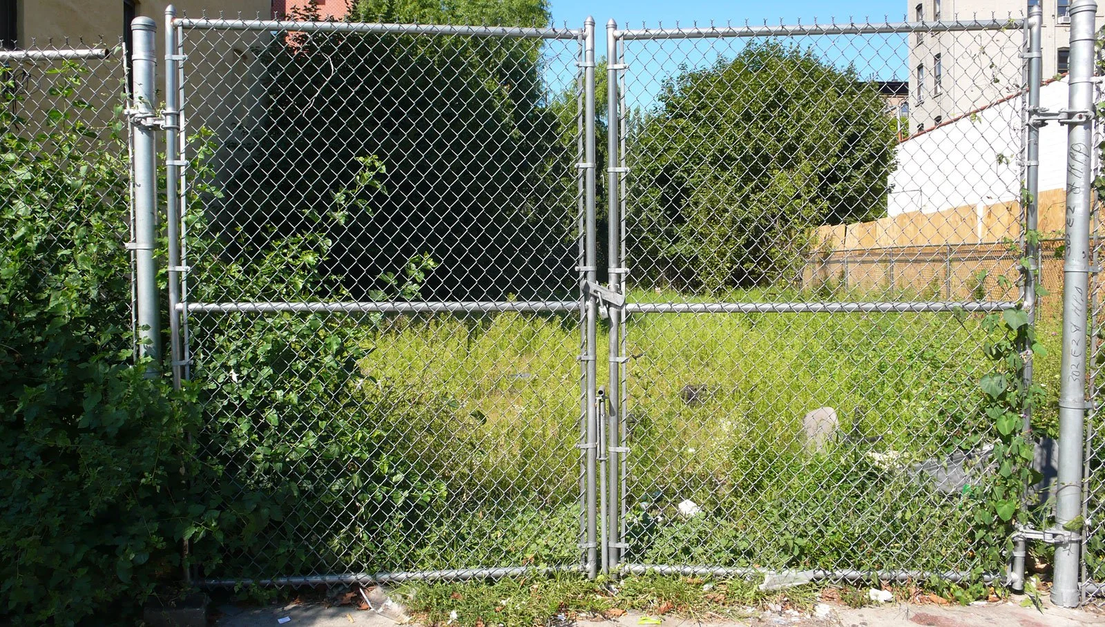 west_houston01.jpg