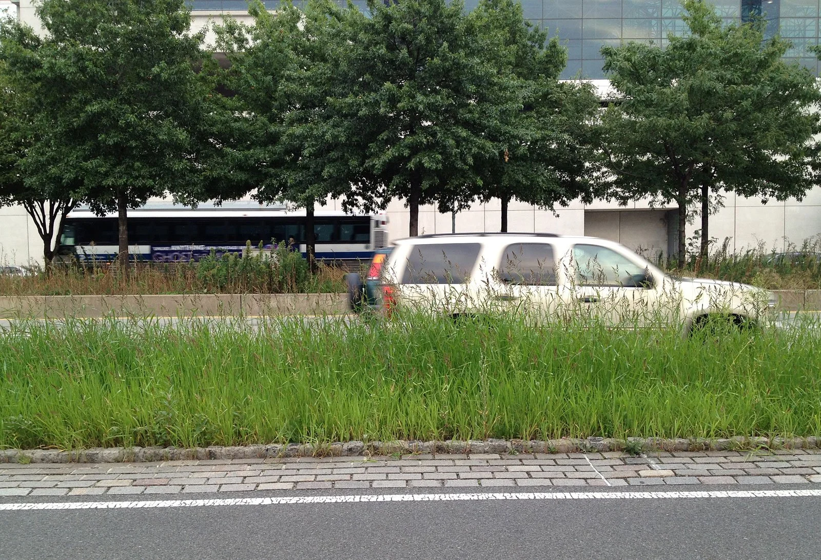 westside_median04.jpg