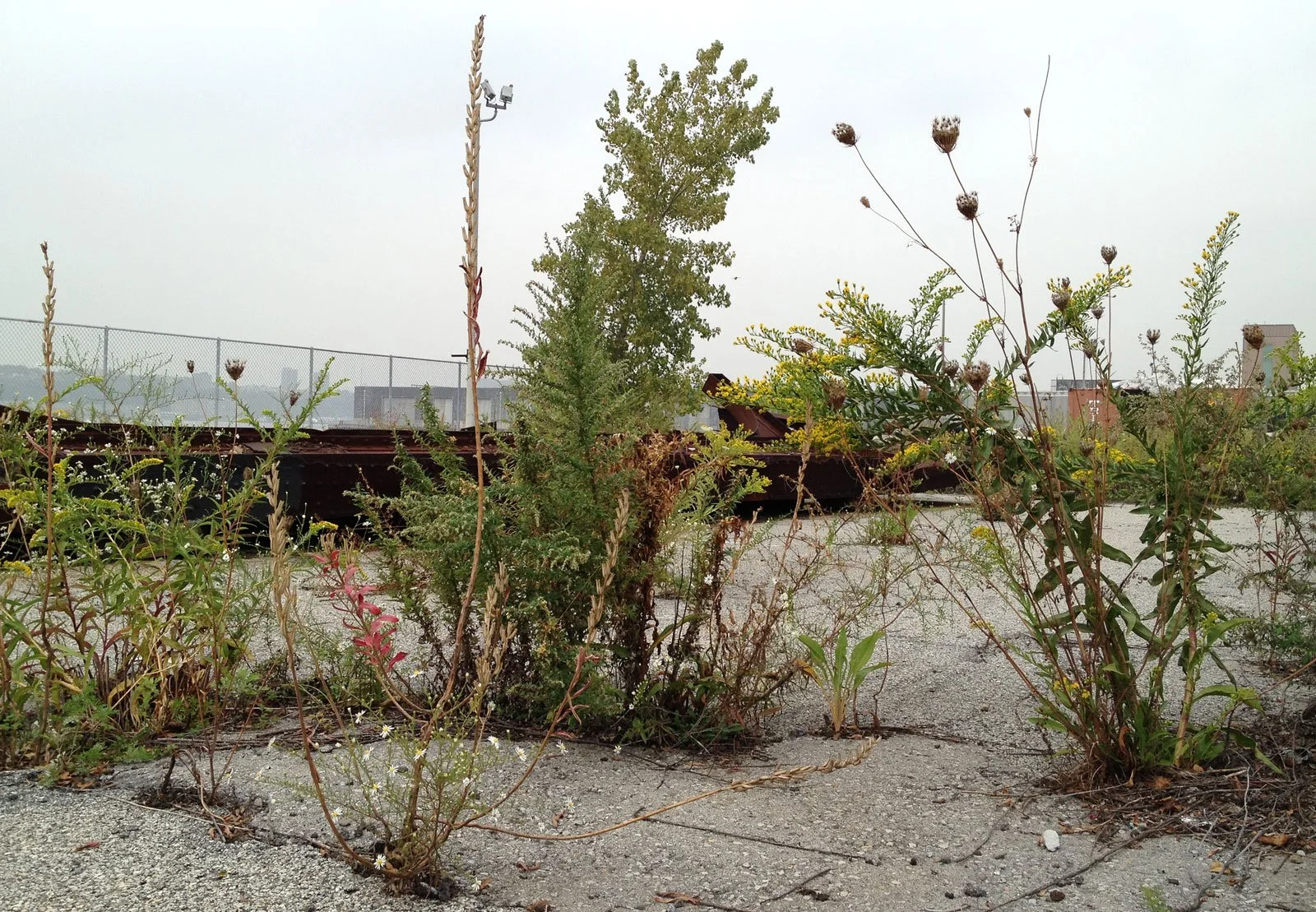westside_Oct2012.jpg