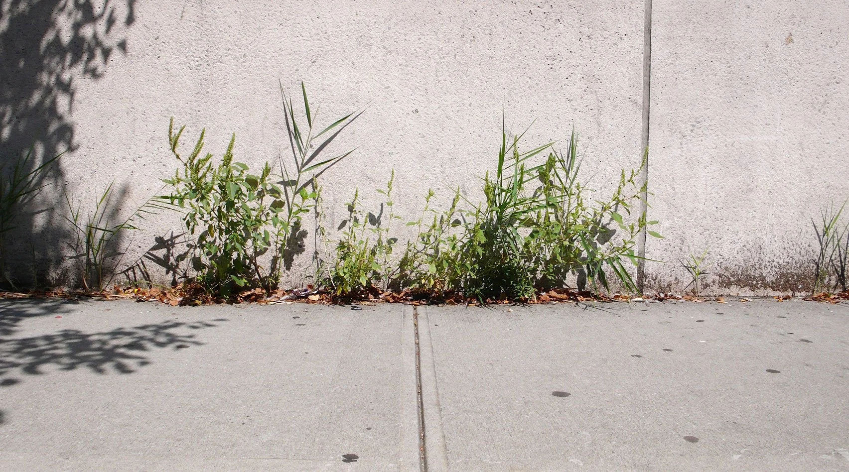 28th_st_sidewalk03.jpg