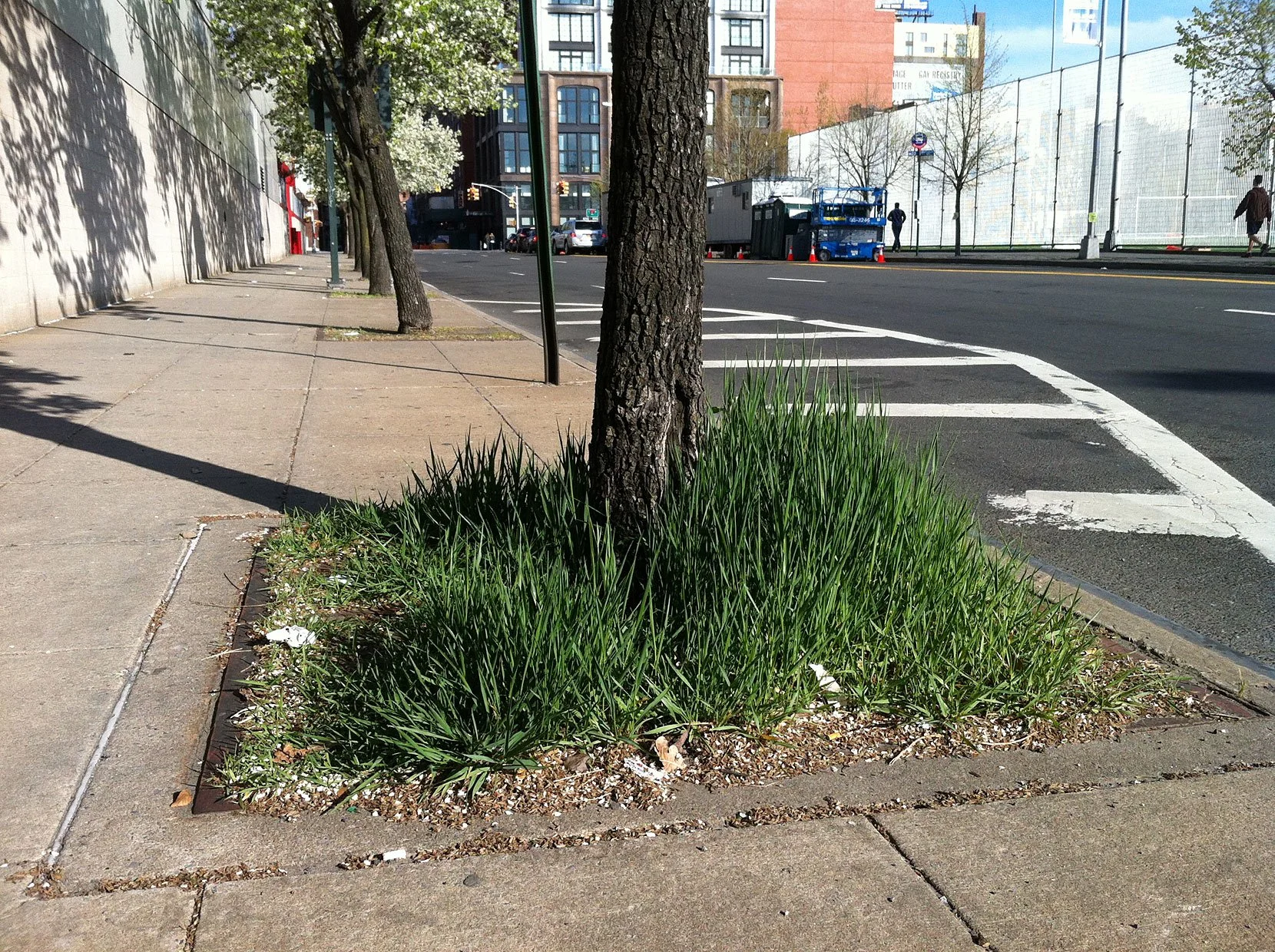 w24th0513_03.jpg