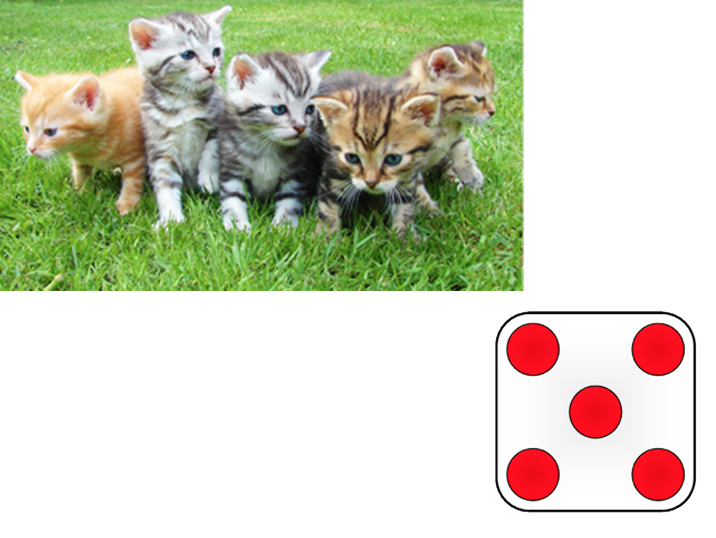 cat-dice.jpg