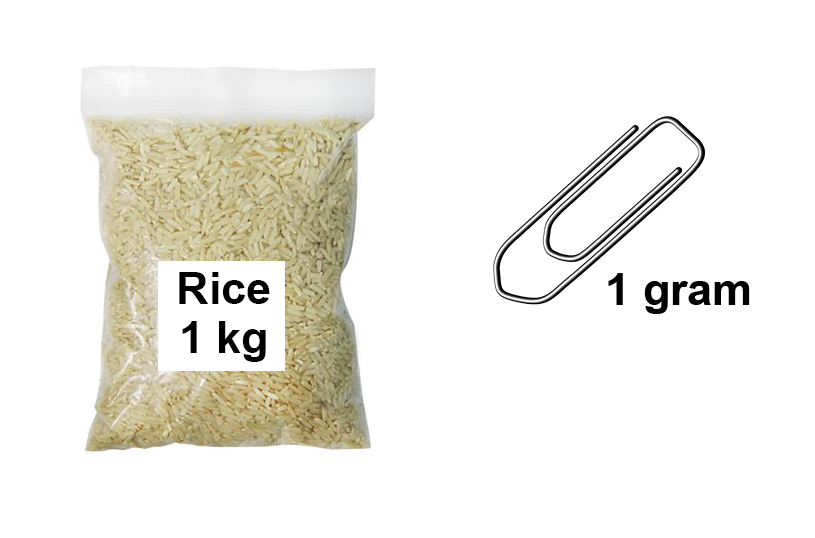 measurement-same-but-different_kg-gram.png
