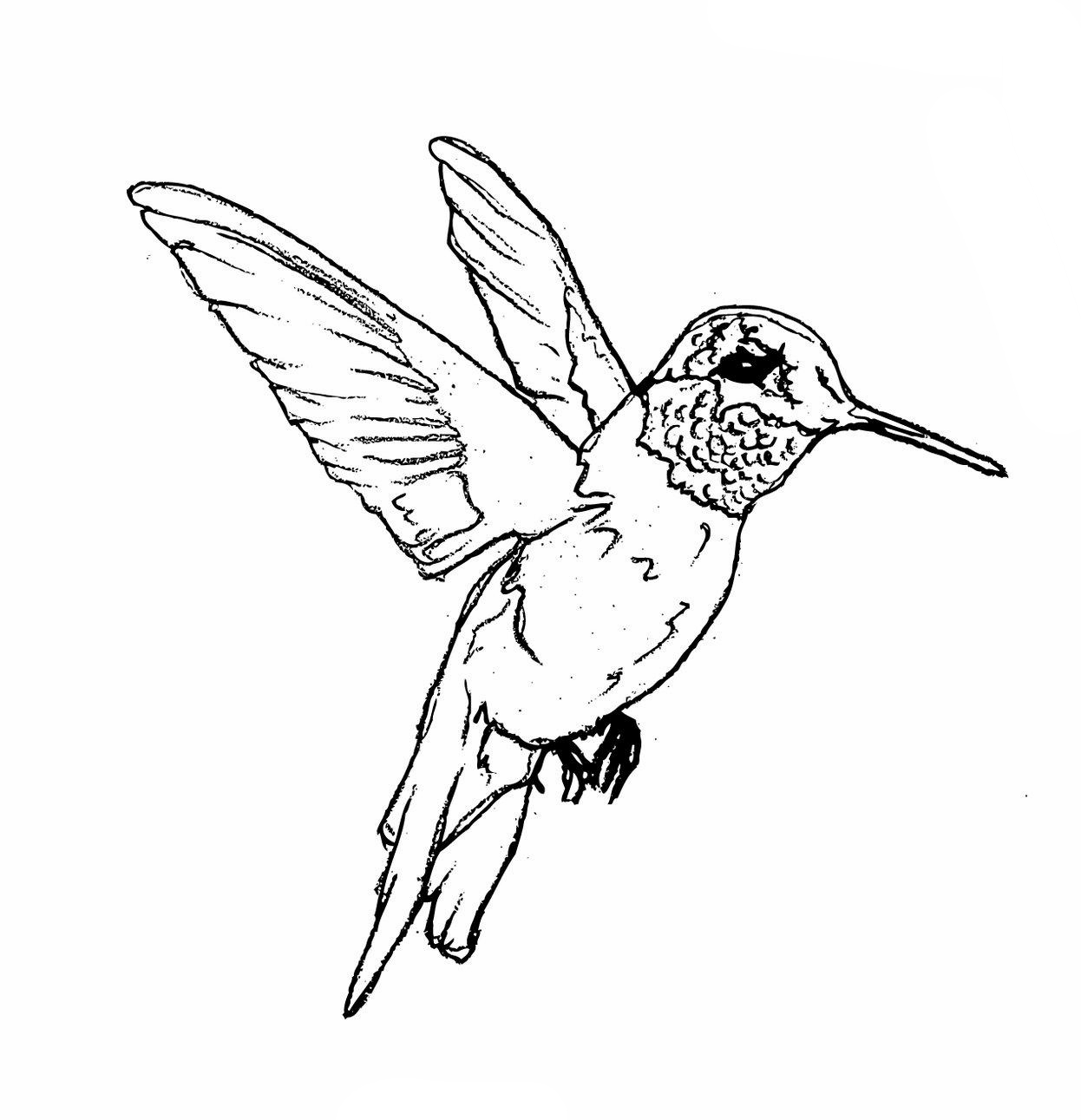 birdearrings2andbirdlayers.jpg