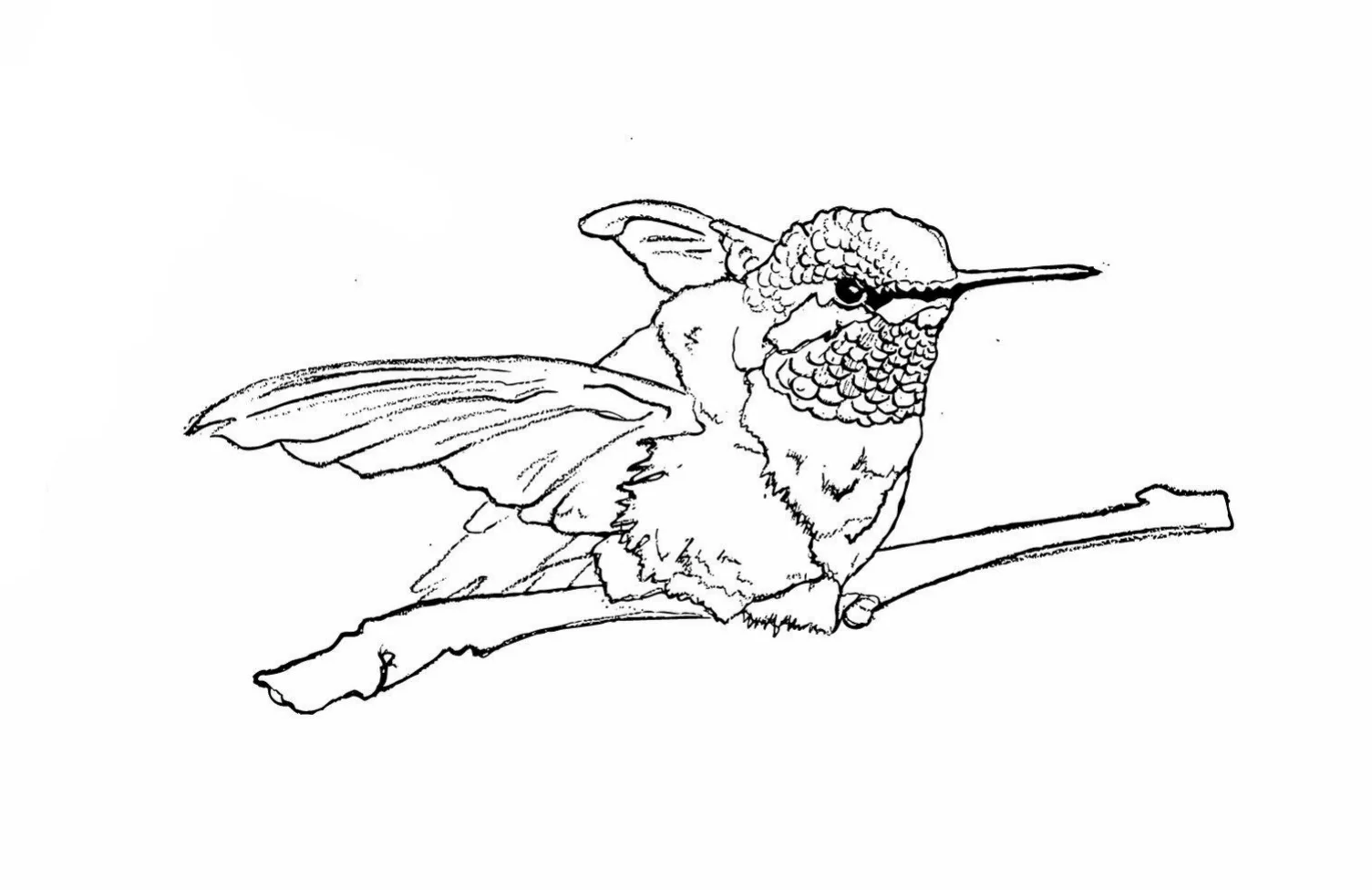 birdearrings2andbirdlayers.jpg
