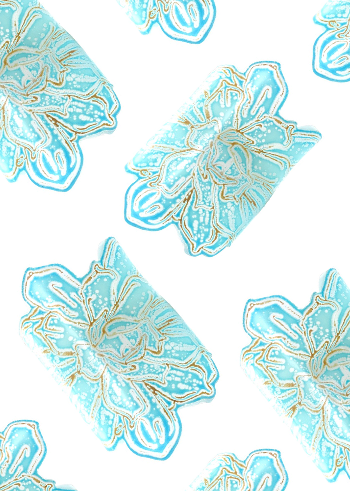 Blue and Iris Yellow Echeveria Cuff