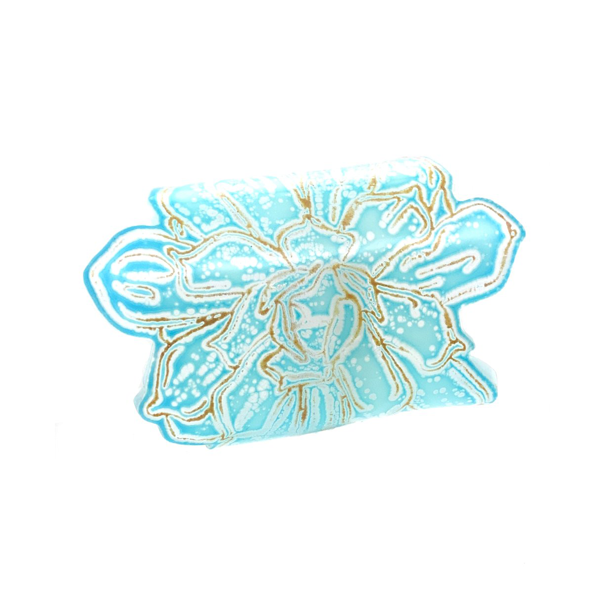 Blue and Iris Yellow Echeveria Cuff (size Large)