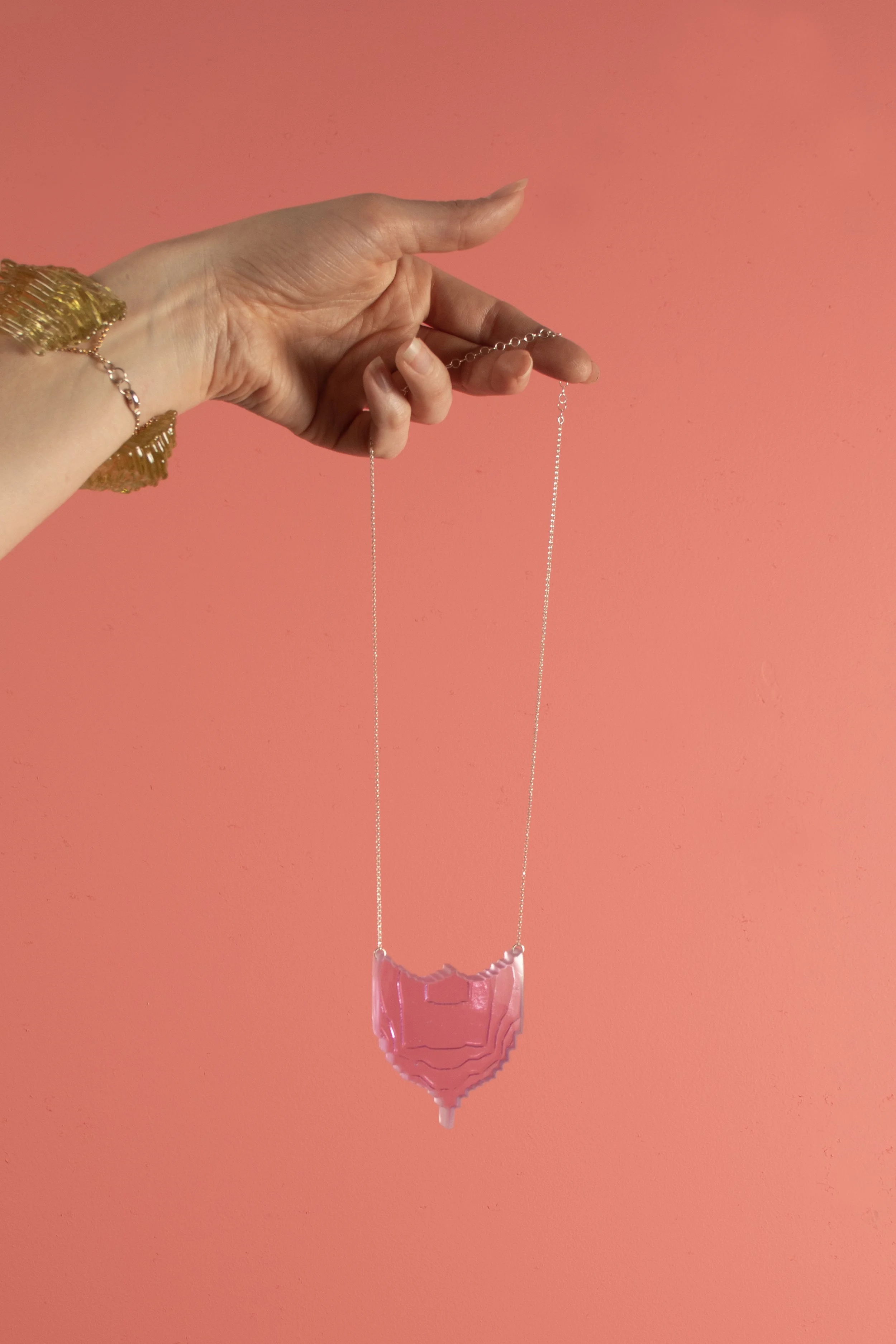 FuchsiaShield_onpink.jpg