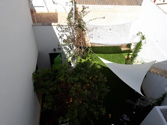 20190505_160513.jpg