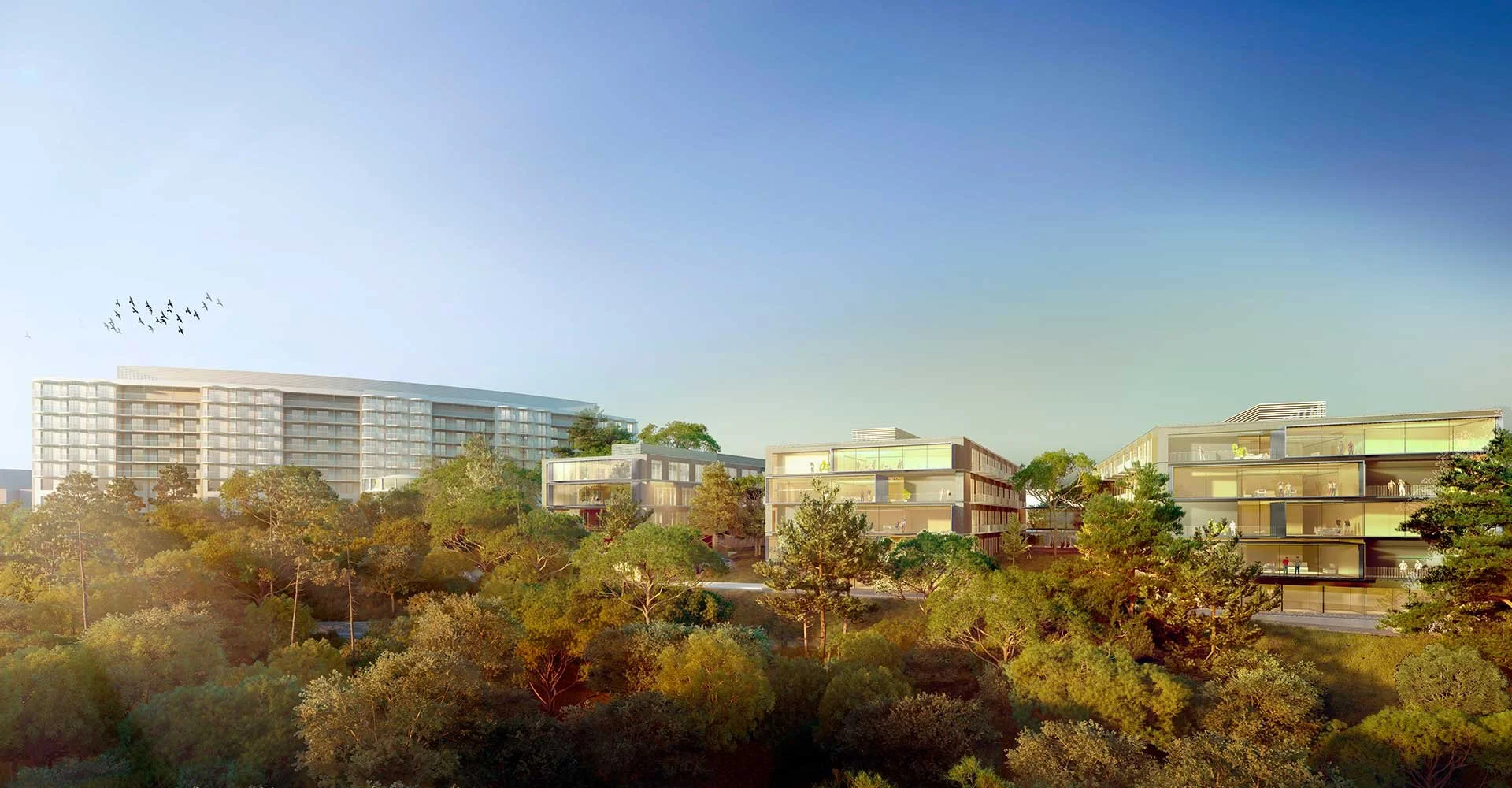 HOSPITAL UNIVERSITARIO SON DURETA_UTE RAFAEL DE LA-HOZ/GHESA Ingerieria y Tecnología/MARIA NICOLAU