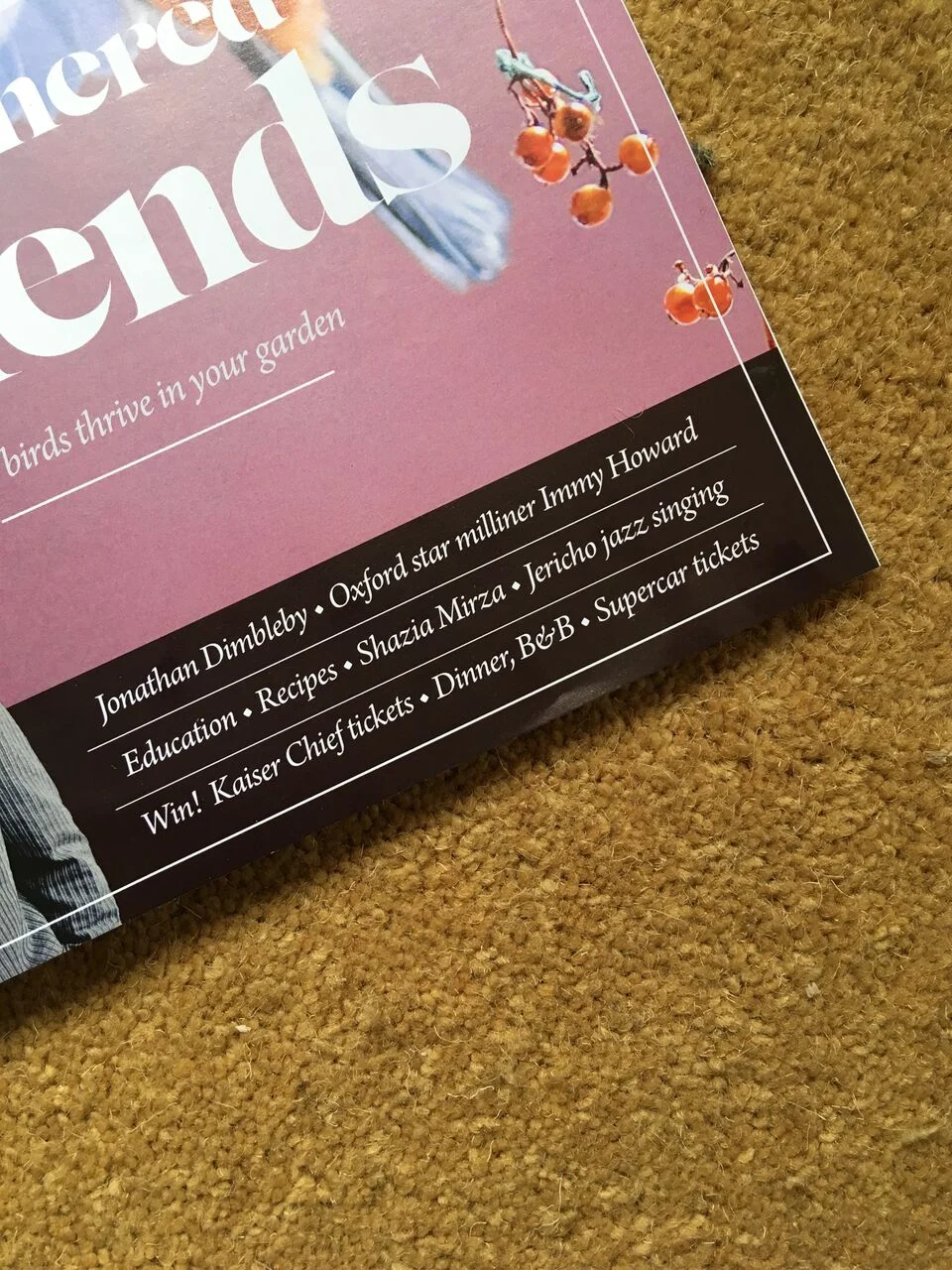 Round and About Feature