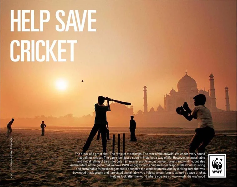 'Help Save Cricket' poster by Ogilvy (New Delhi)
