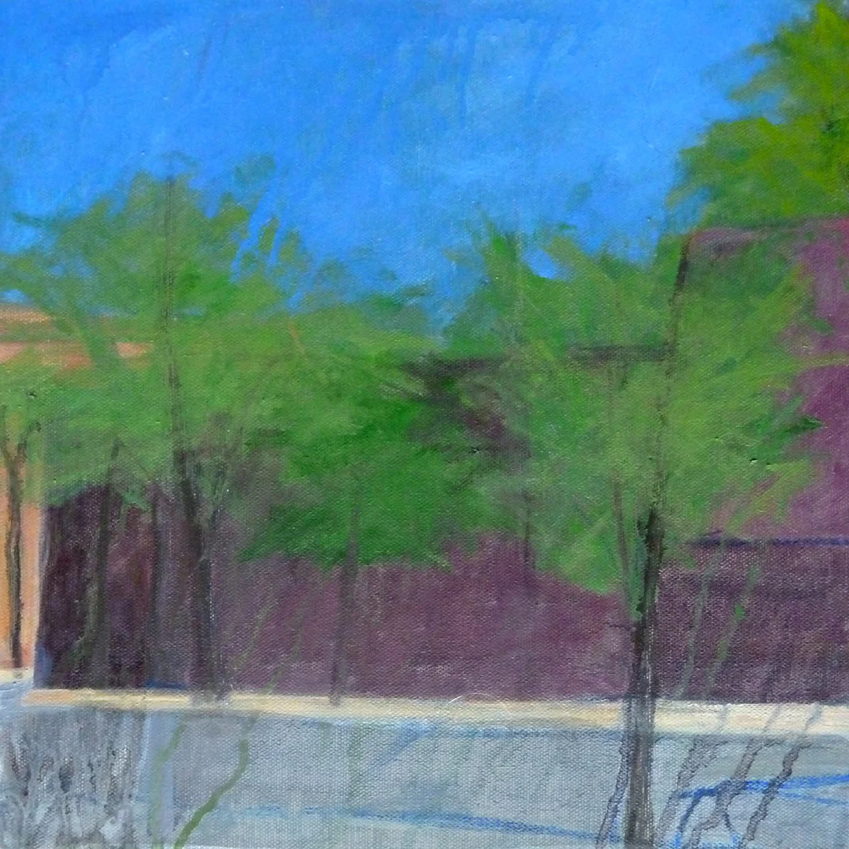 #293: Lafayette Ave/ S Elliott St (Brooklyn)