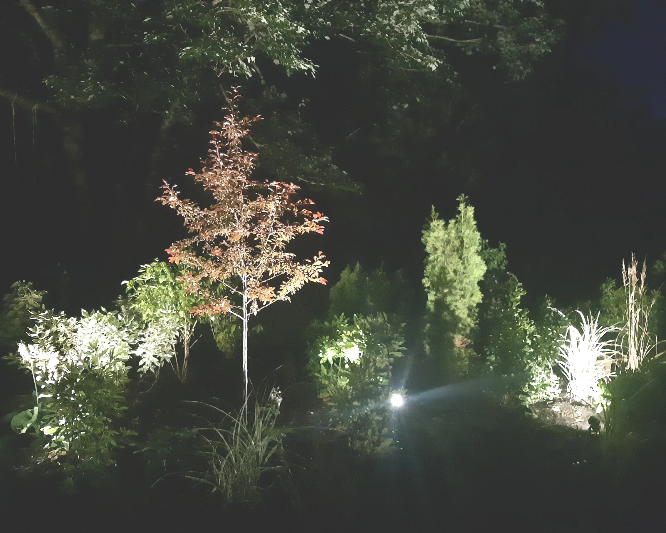 Ambiance - Since wedding events stretch late into the evenings, it was important to showcase the new garden backdrop, adding elegant ambiance to the guest experience & extend the clients view of it throughout the year.