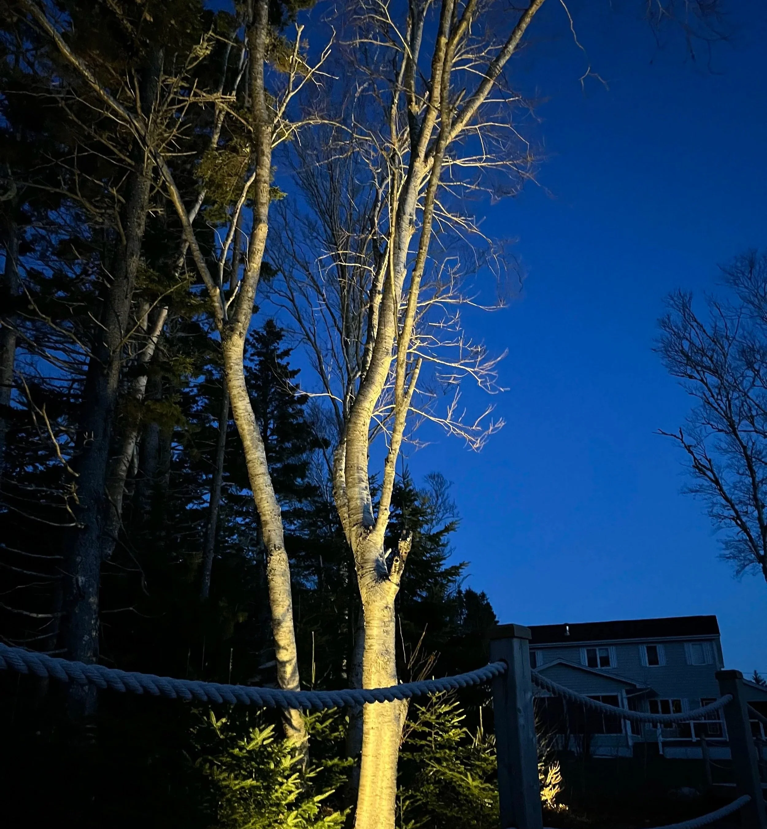 Fall is a great time to set a lighting array in. You get to see the dramatic structure of trees along a forest edge.