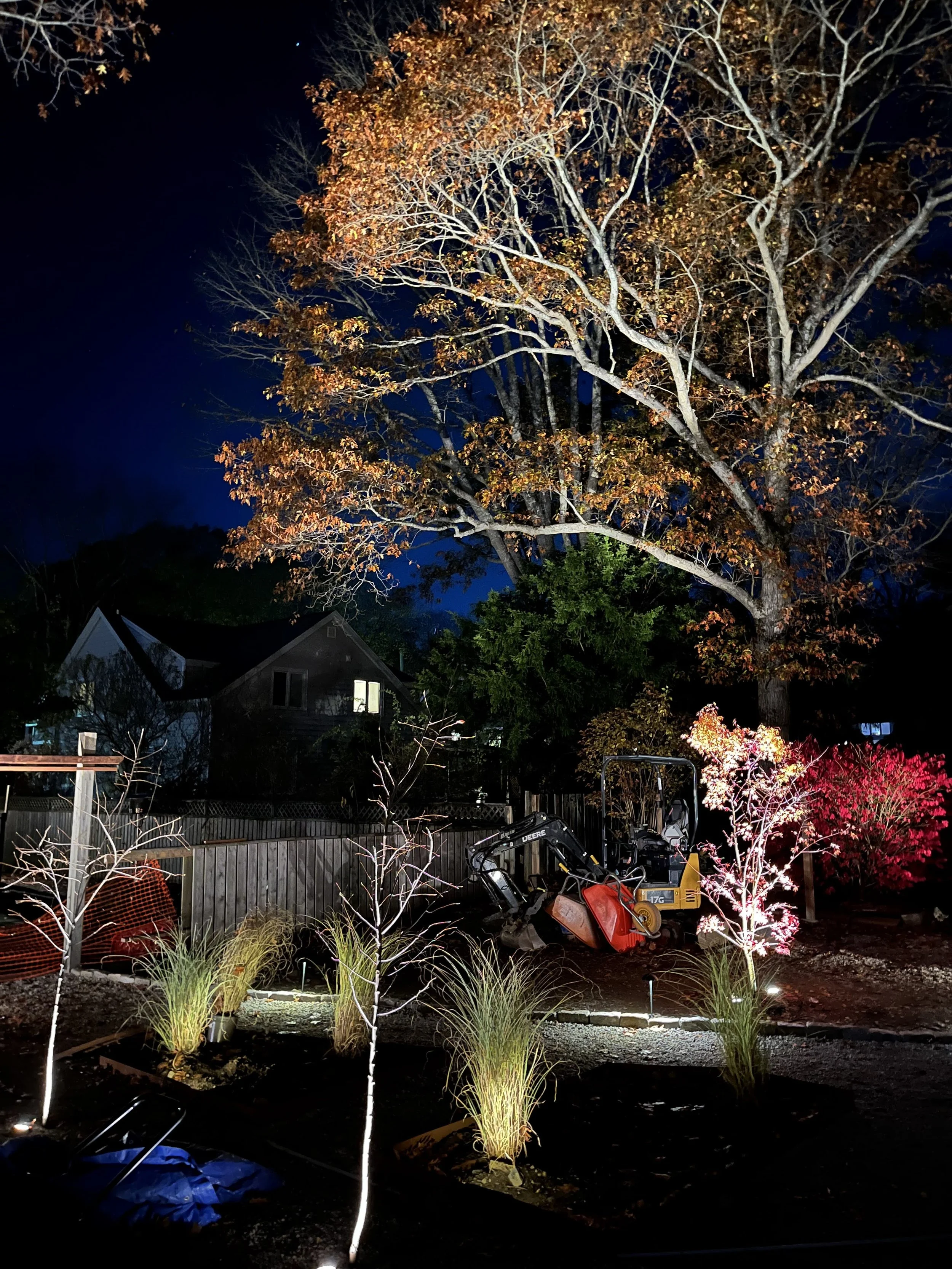 Although the intent is to illuminate specimen plants and gardens, most clients benefit from the accidental effect of illuminating the 'borrowed view' of adjacent tree canopy.