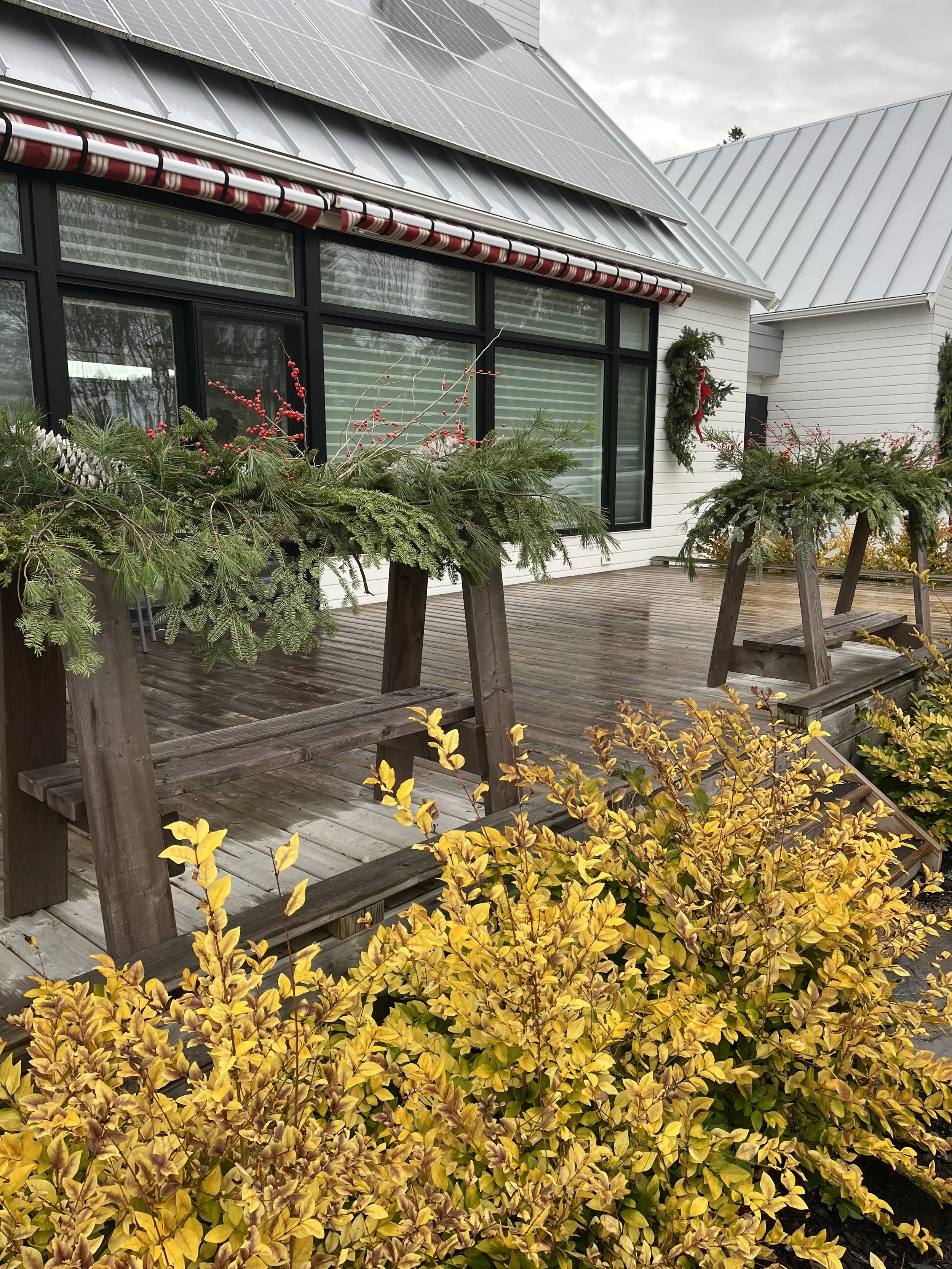 Threshold greens at the front door. 