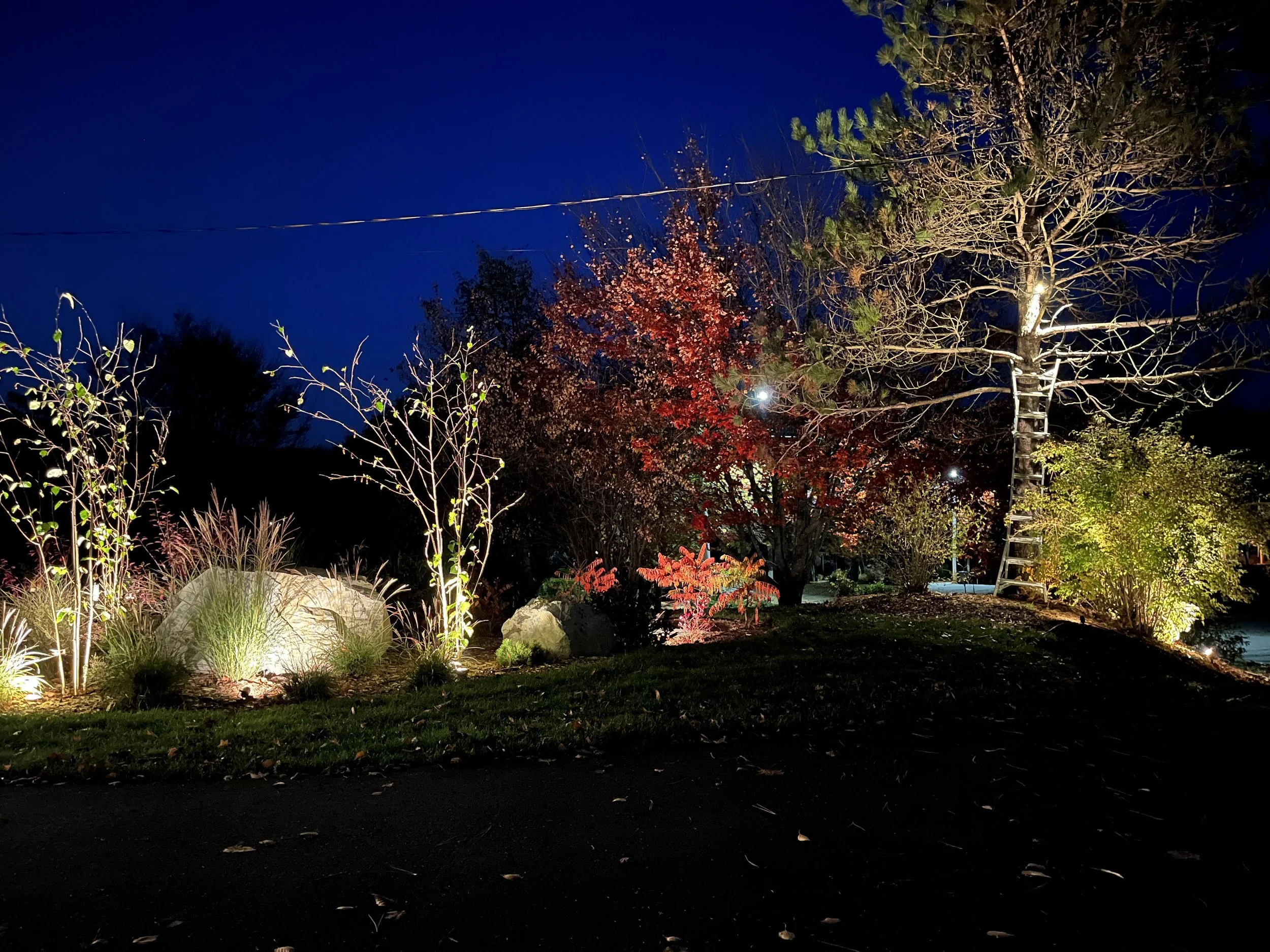 Illuminated, the driveway bed reveals the stunning boulders and plant forms installed just weeks prior. As the plantings mature, light will become softer and more diffused.