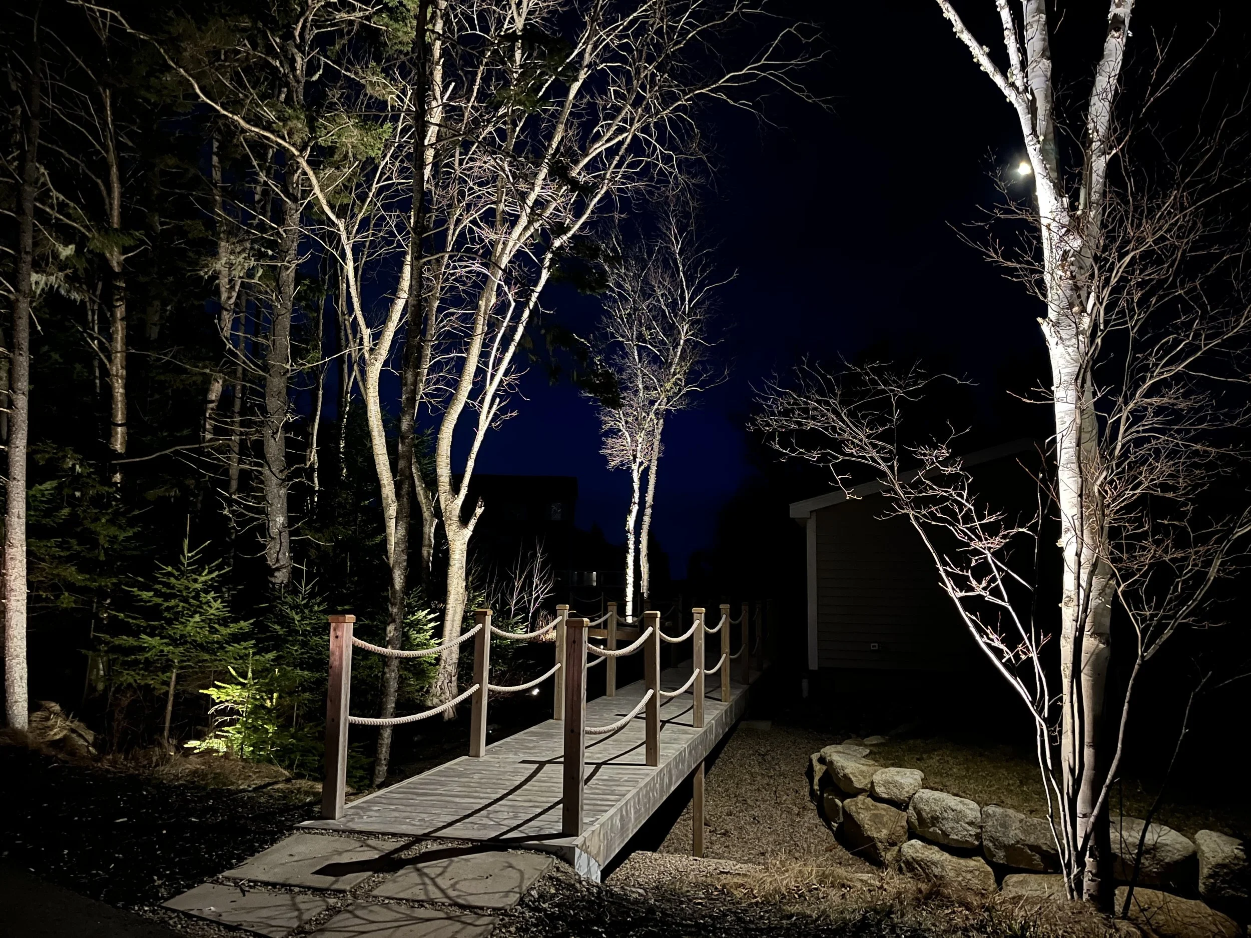 I uplit and downlit this boardwalk so that focus and fall-off of light folds across the structure & filters through the woodland.