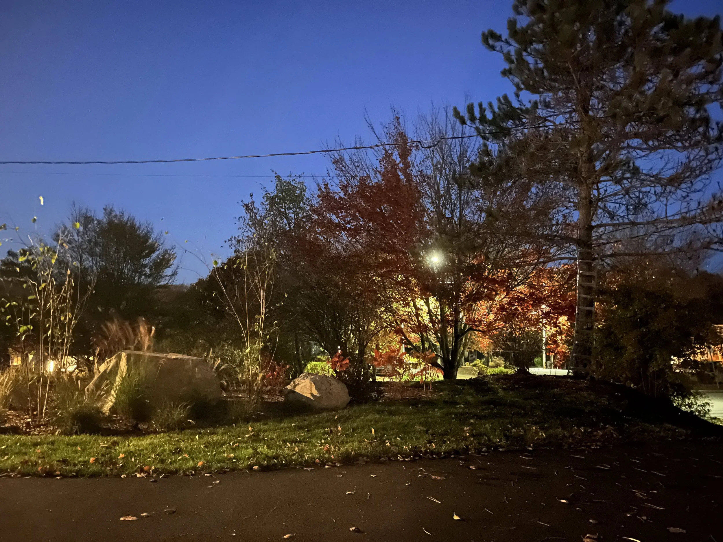 Unlit, the driveway planting bed has little to show for all the textures it contains.