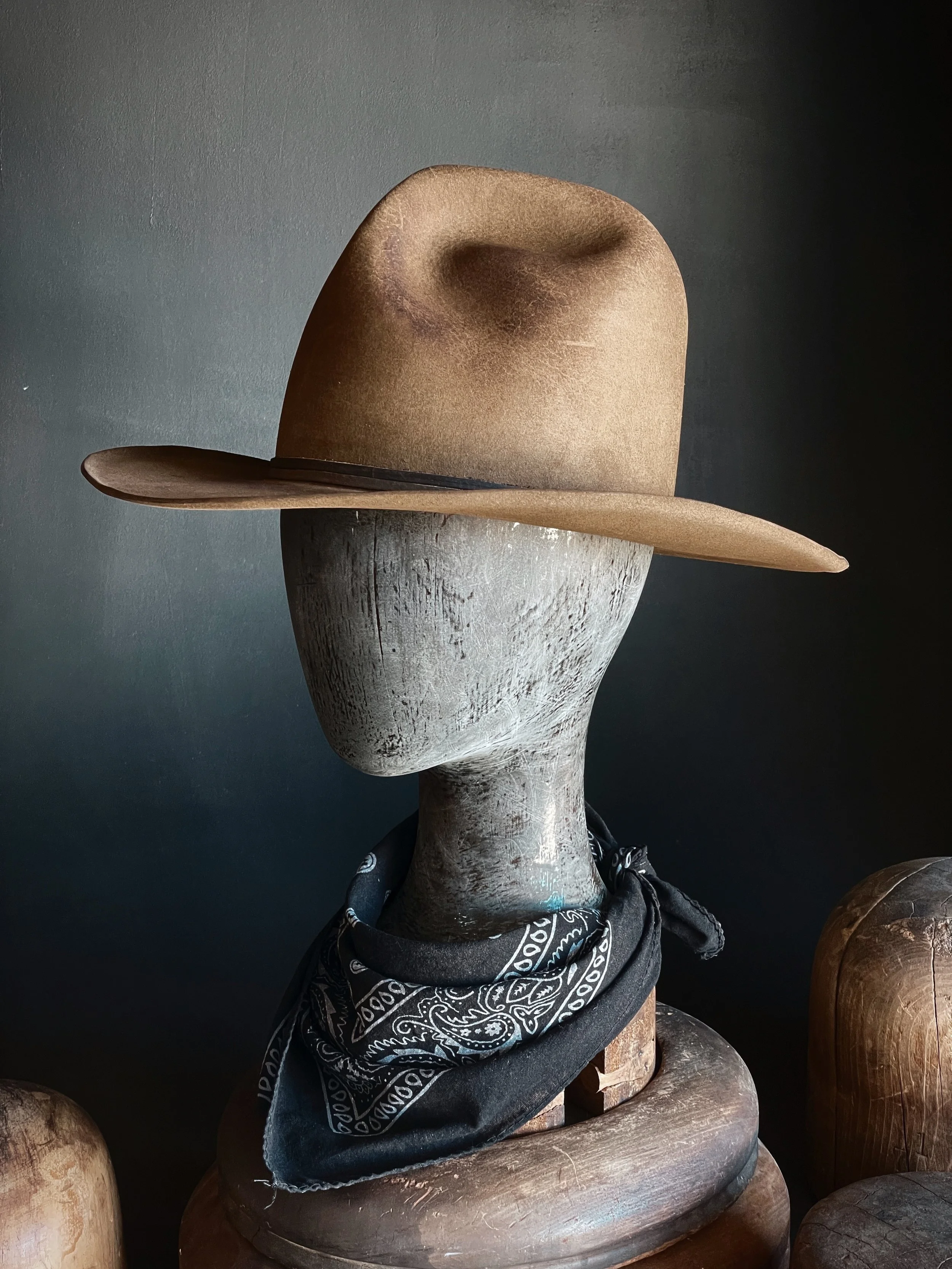 TALL EARP