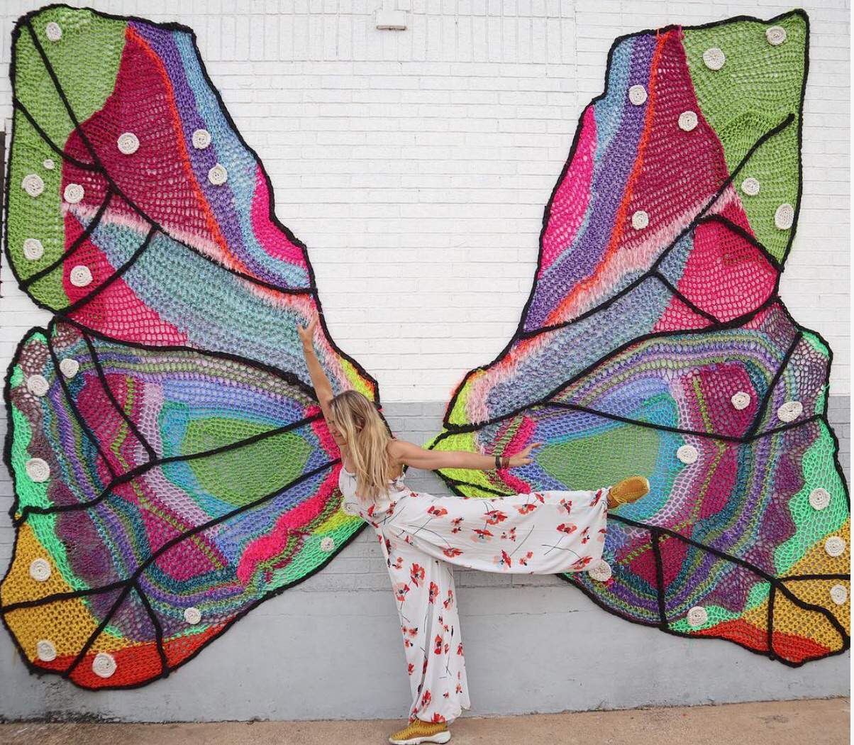 butterfly