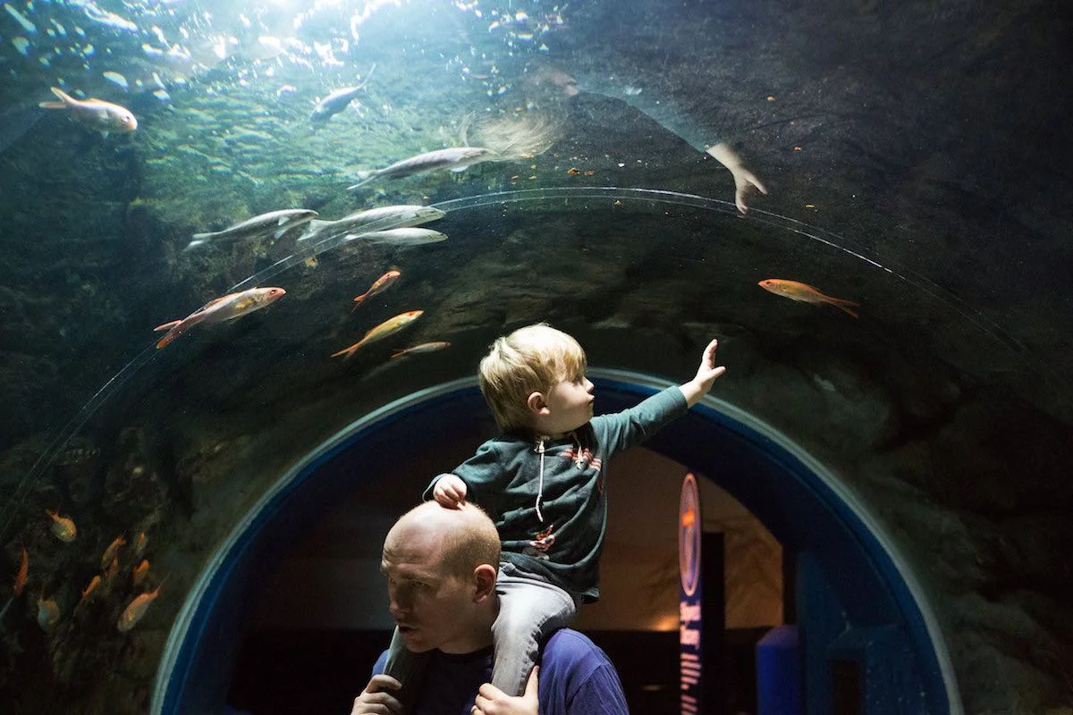 Family photo Emily Chalk.jpg