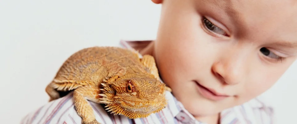 Emily Chalk-family pet photo session-Auckland.jpg