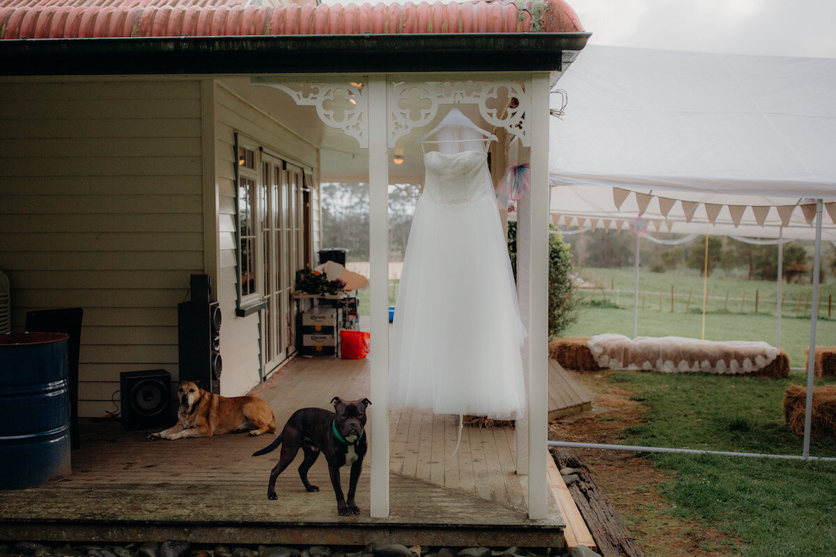 Wedding in Kumeu Photography Emily Chalk.jpg