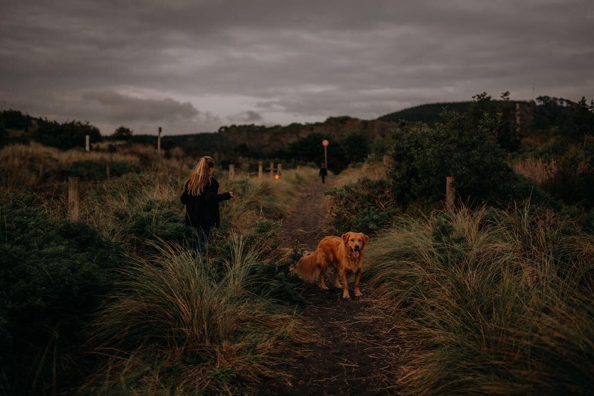 Emily Chalk - Auckland - Family pet photography.jpg