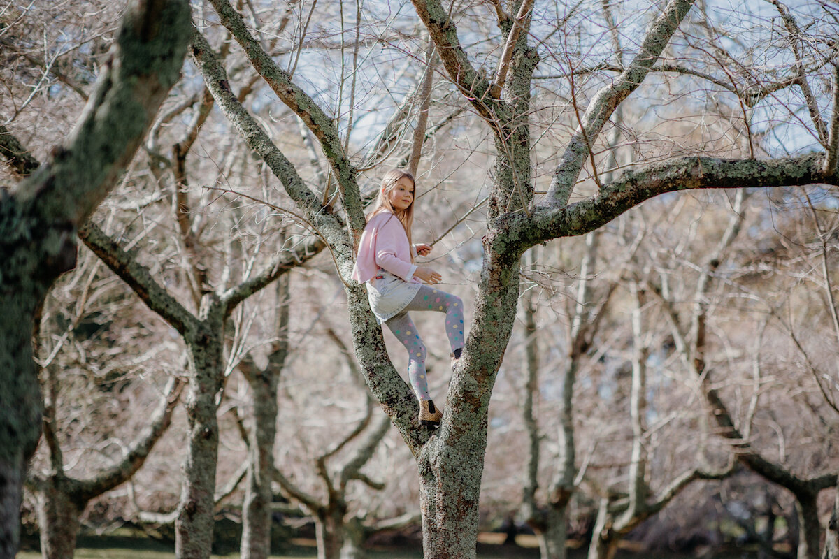 Emily Chalk - Family photographer - Auckland.jpg