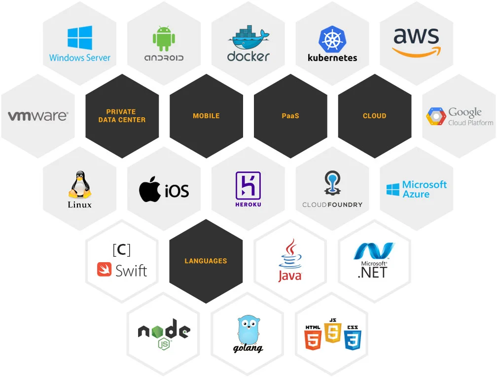 IGNW-hexgraphic.png