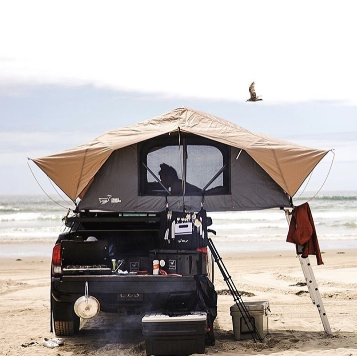 Screen Shot 2018-11-05 at 6.44.17 PM.png