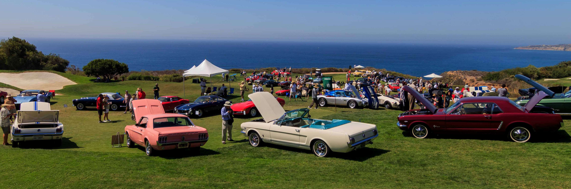 Screen Shot 2020-08-18 at 1.00.10 PM.png