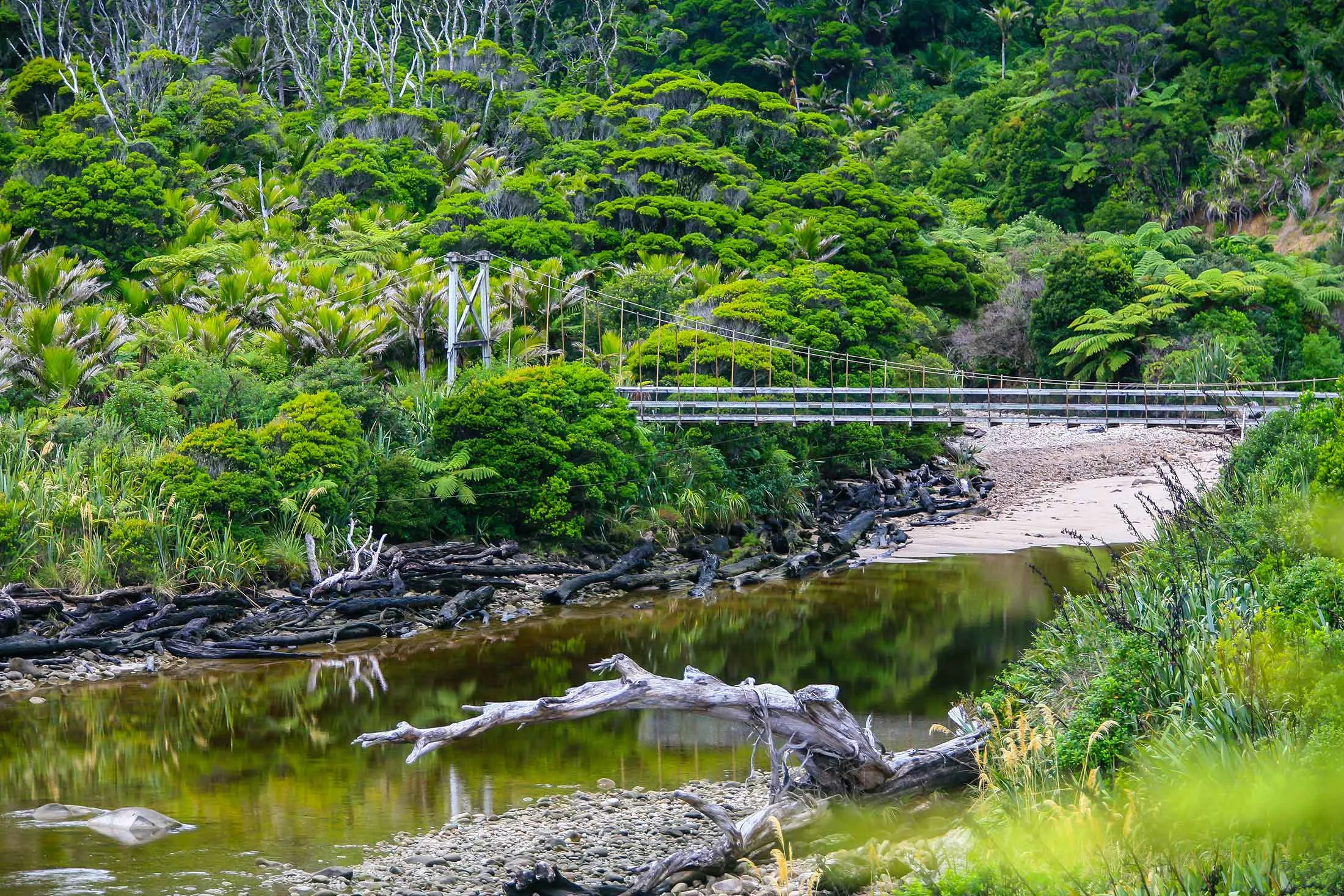 oparara-swingbridge.jpg