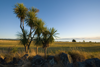 karamea-Small-1.jpg