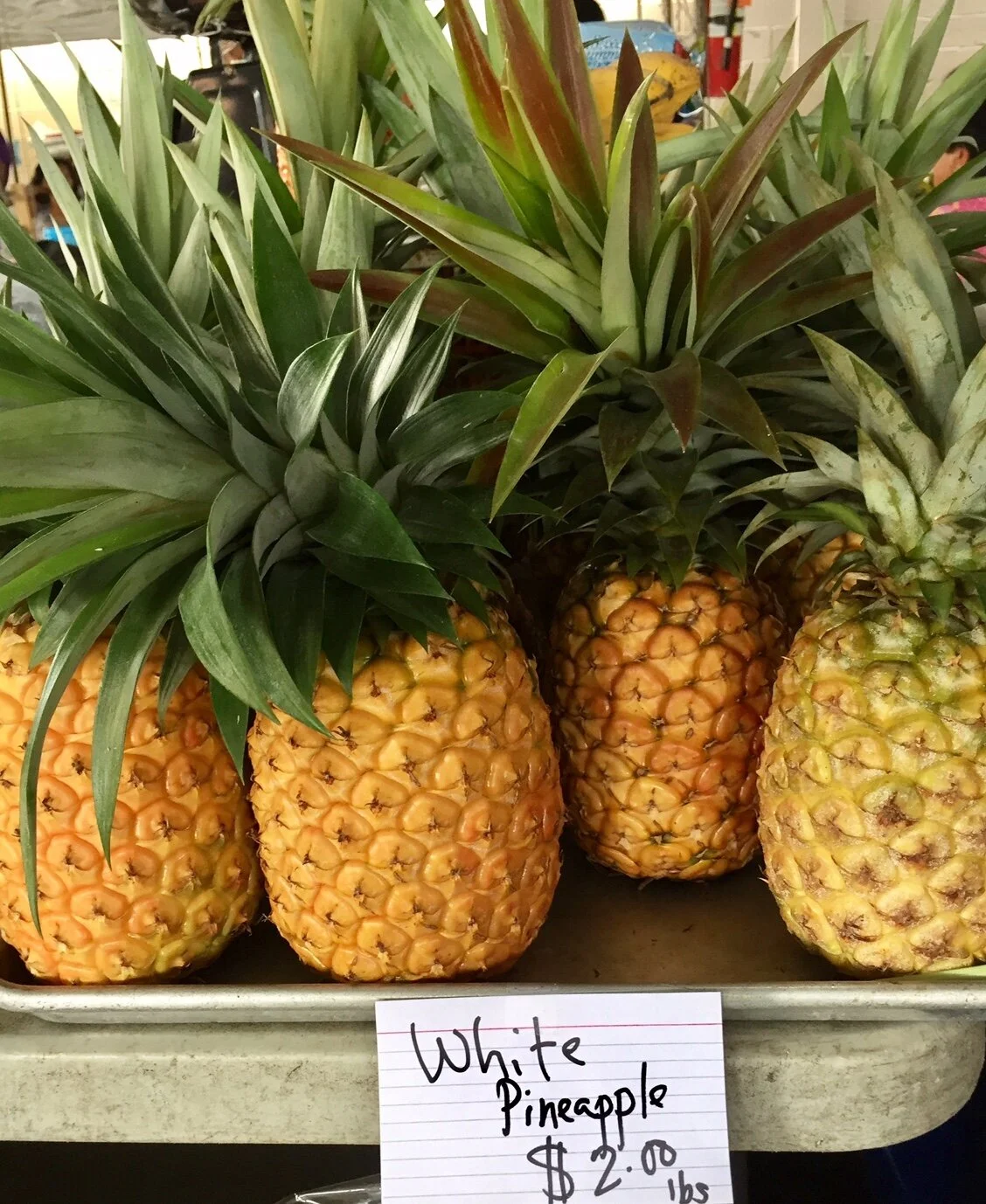 White-Pineapple