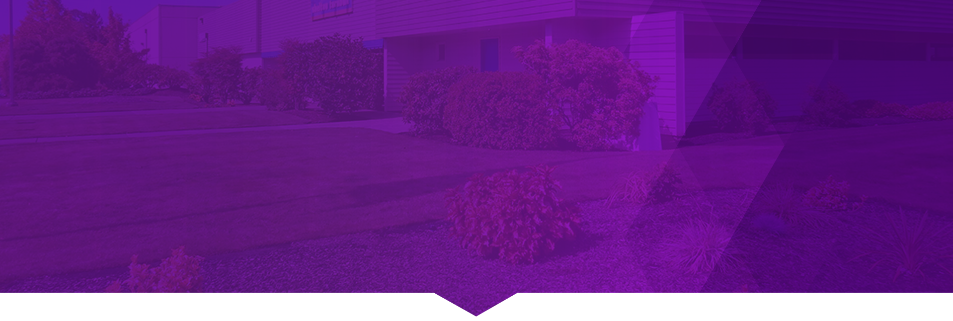 about-company-banner.png