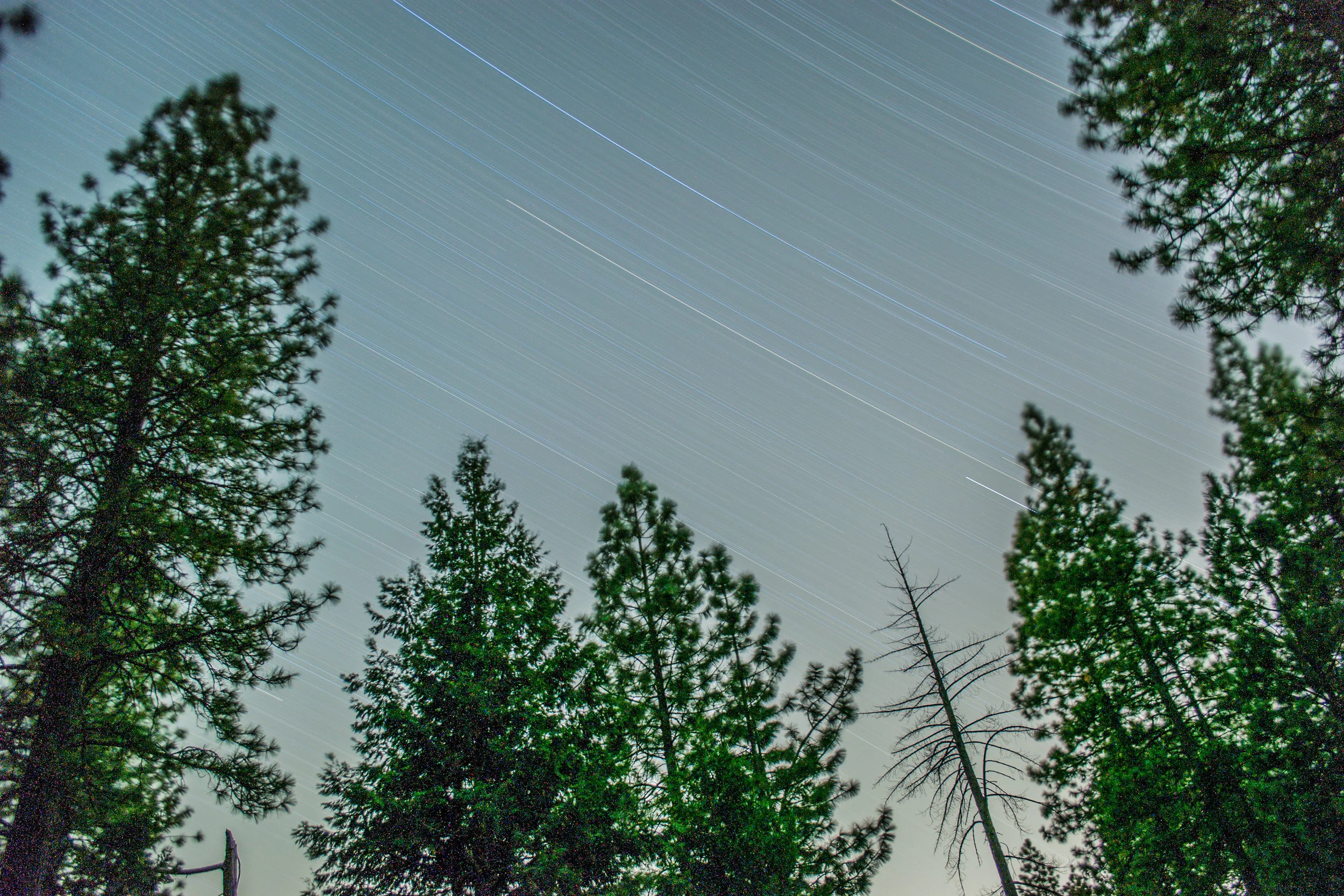 Star Trails at Dawn