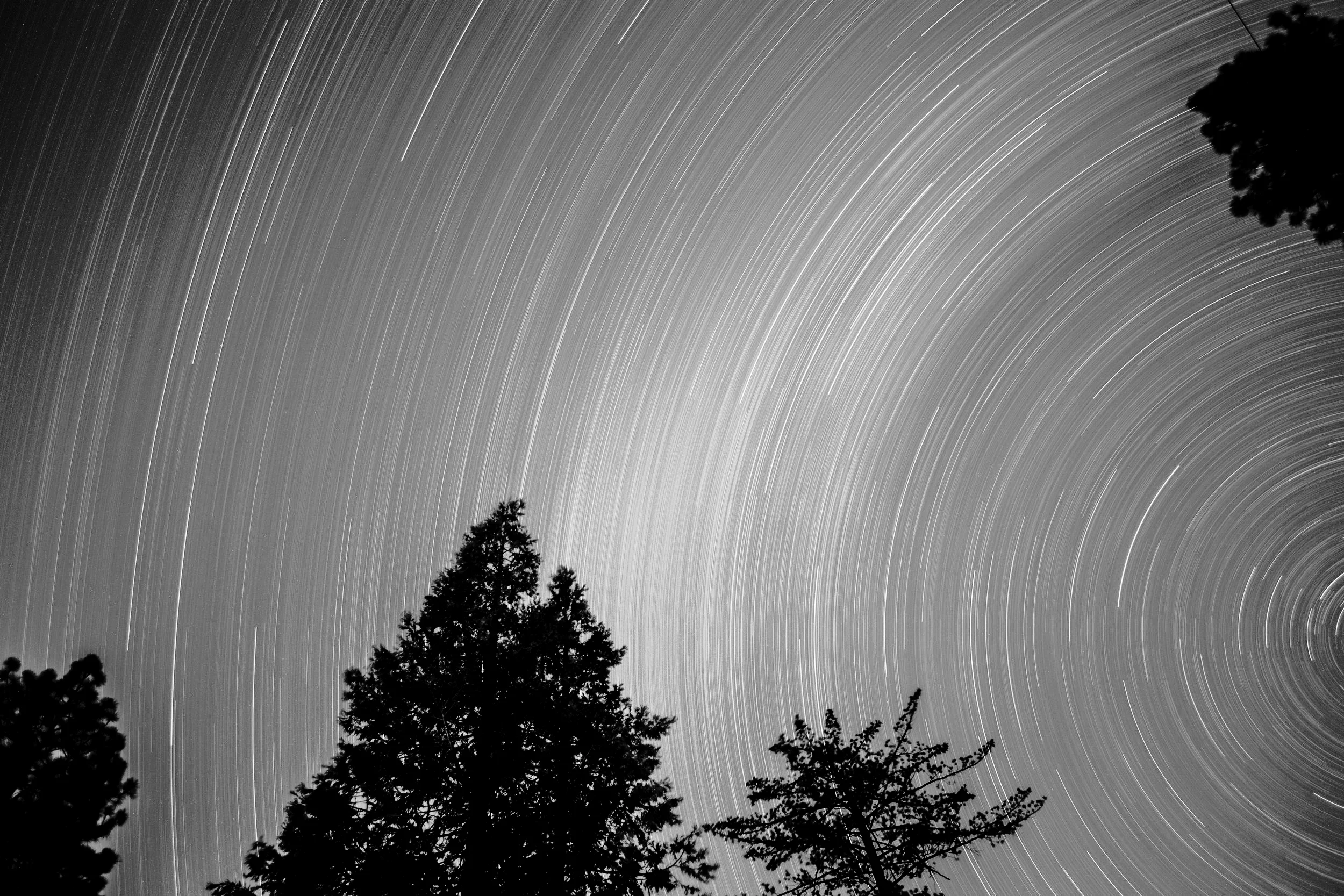 Rotation in black and white