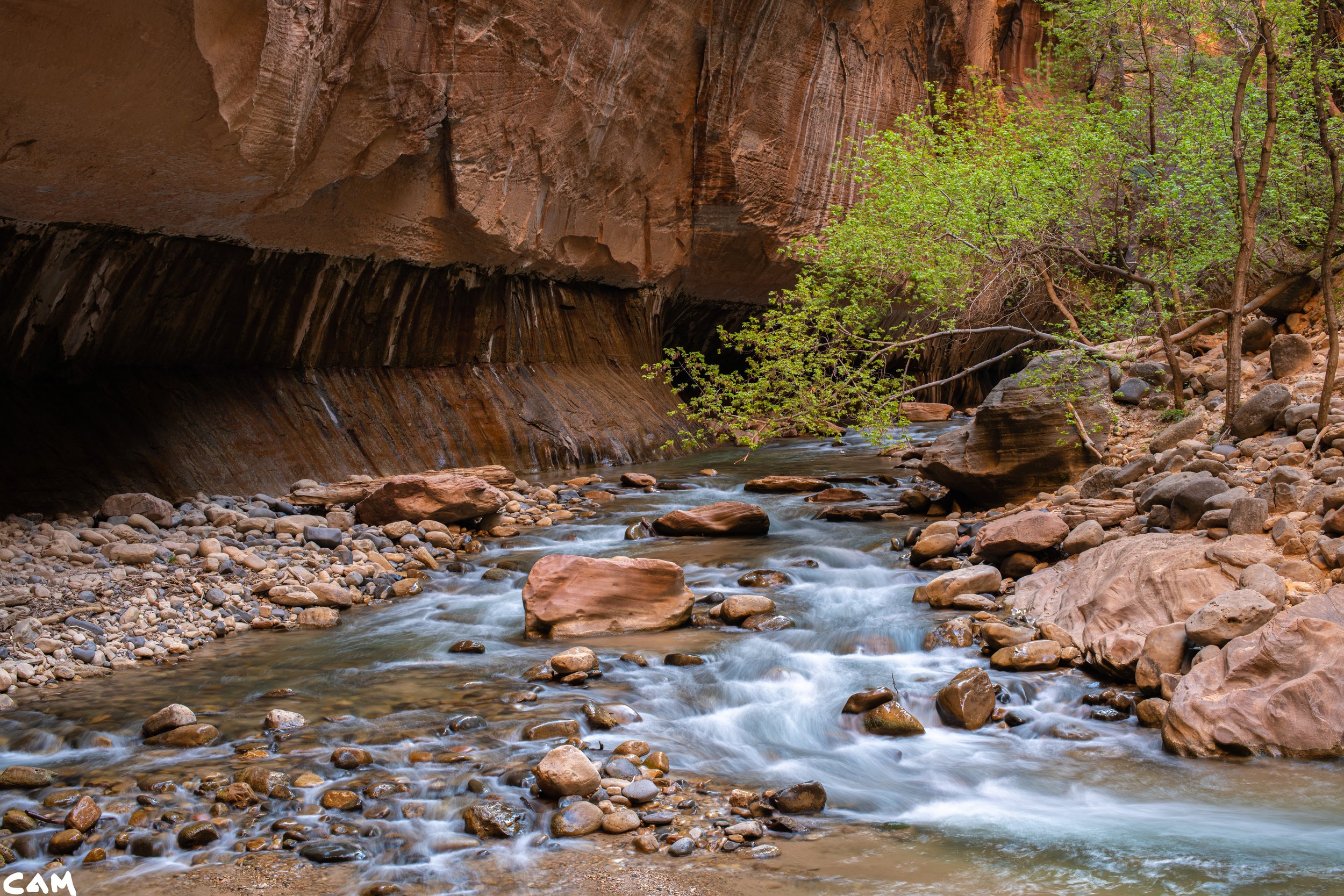 spring in the narrows